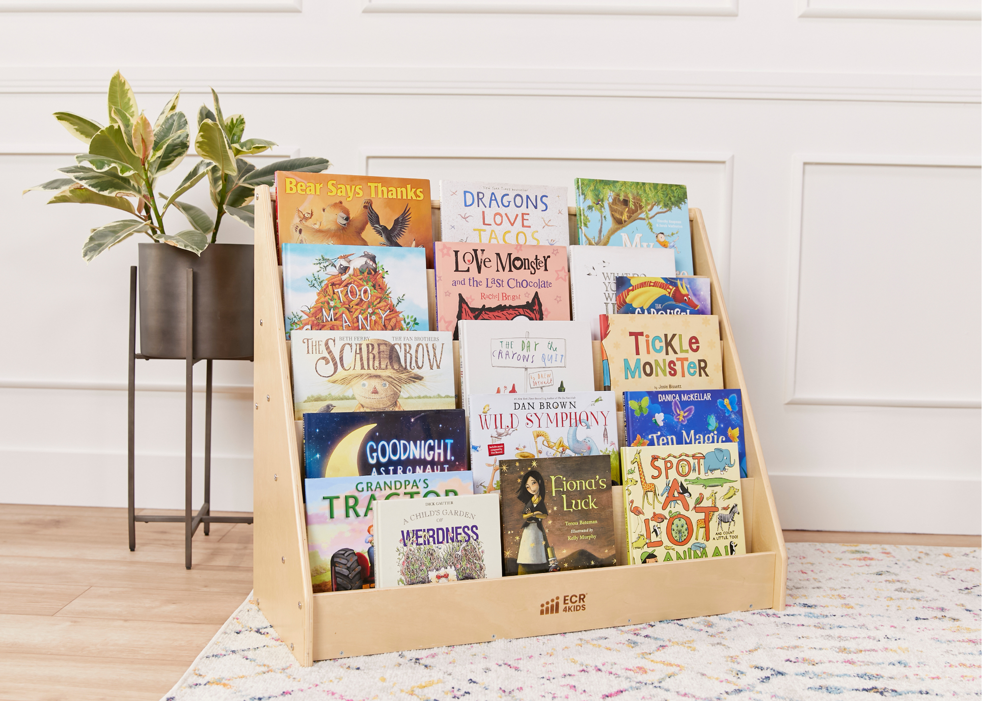 Exploring Our Literacy Collection: Designed to Support Early Readers