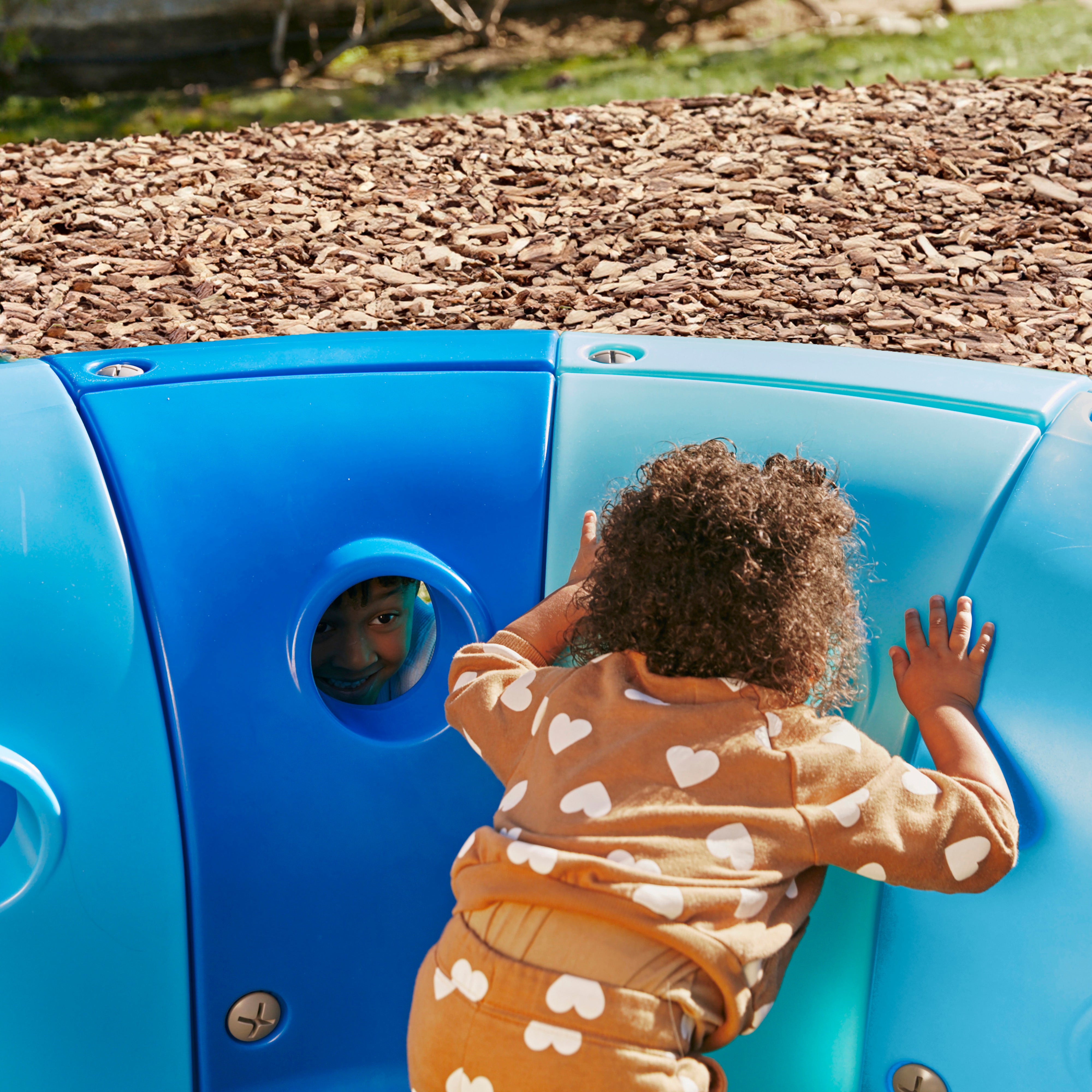 Willow Climb-N-Crawl Whale