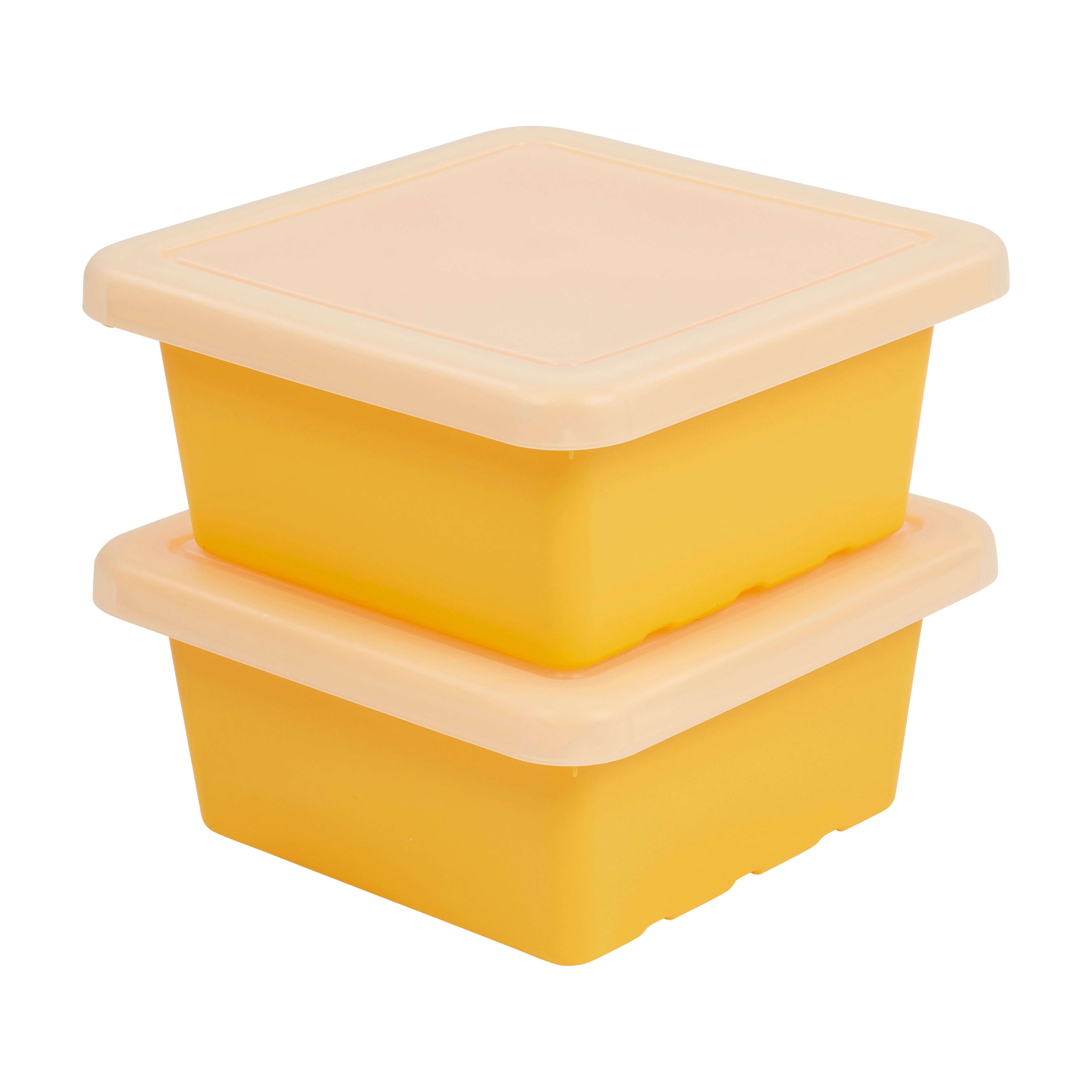 Square Bin with Lid, 2-Pack