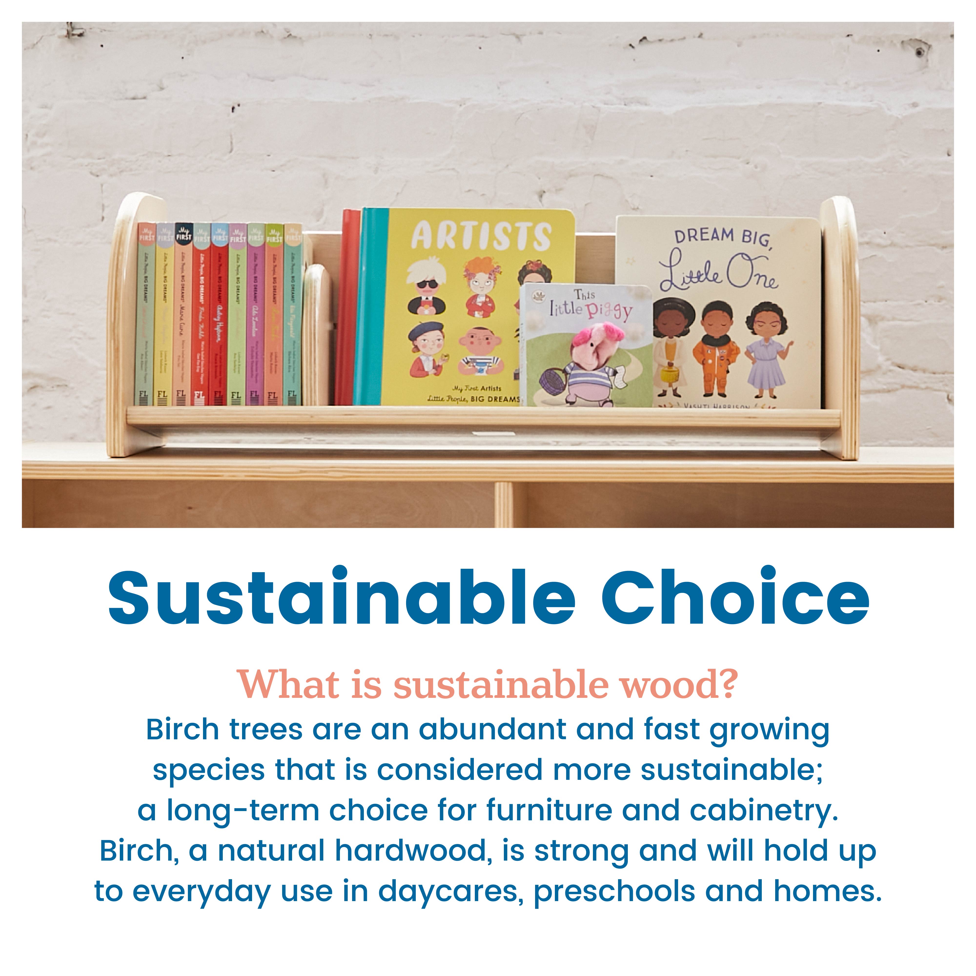 Tabletop Book Display, Adjustable