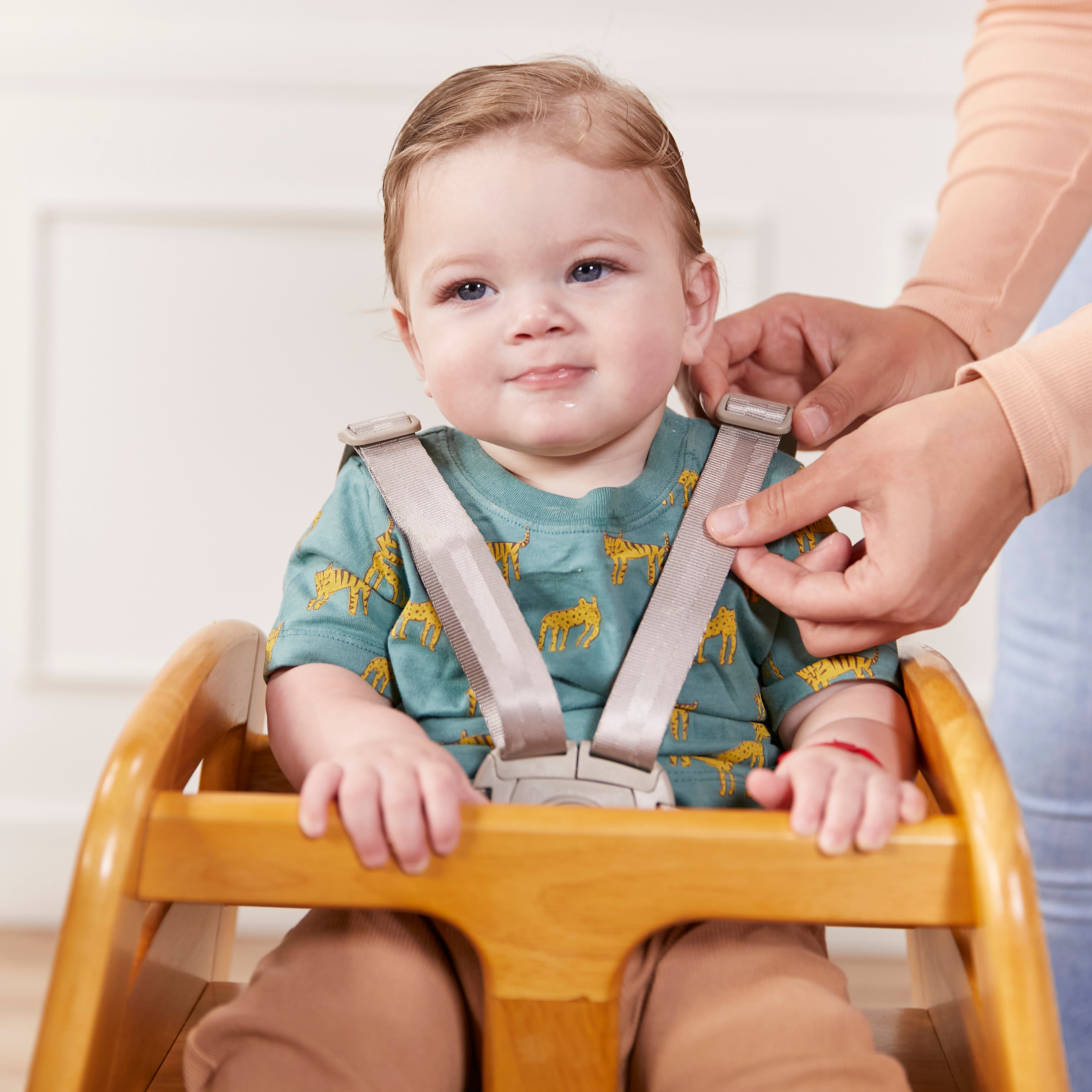 5-Point High Chair Harness, T-Lock