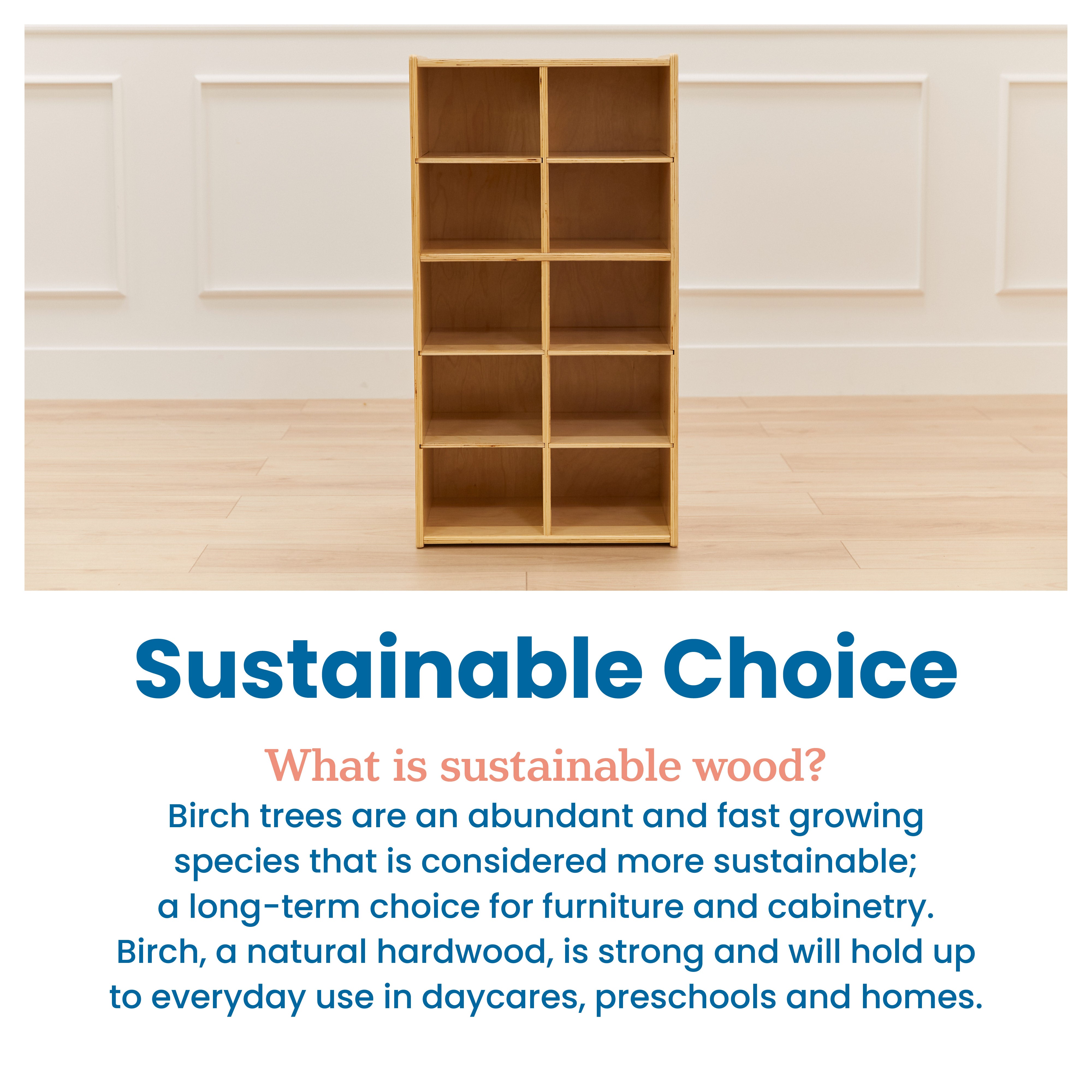 Streamline 10 Cubby Tray Storage Cabinet, 5x2
