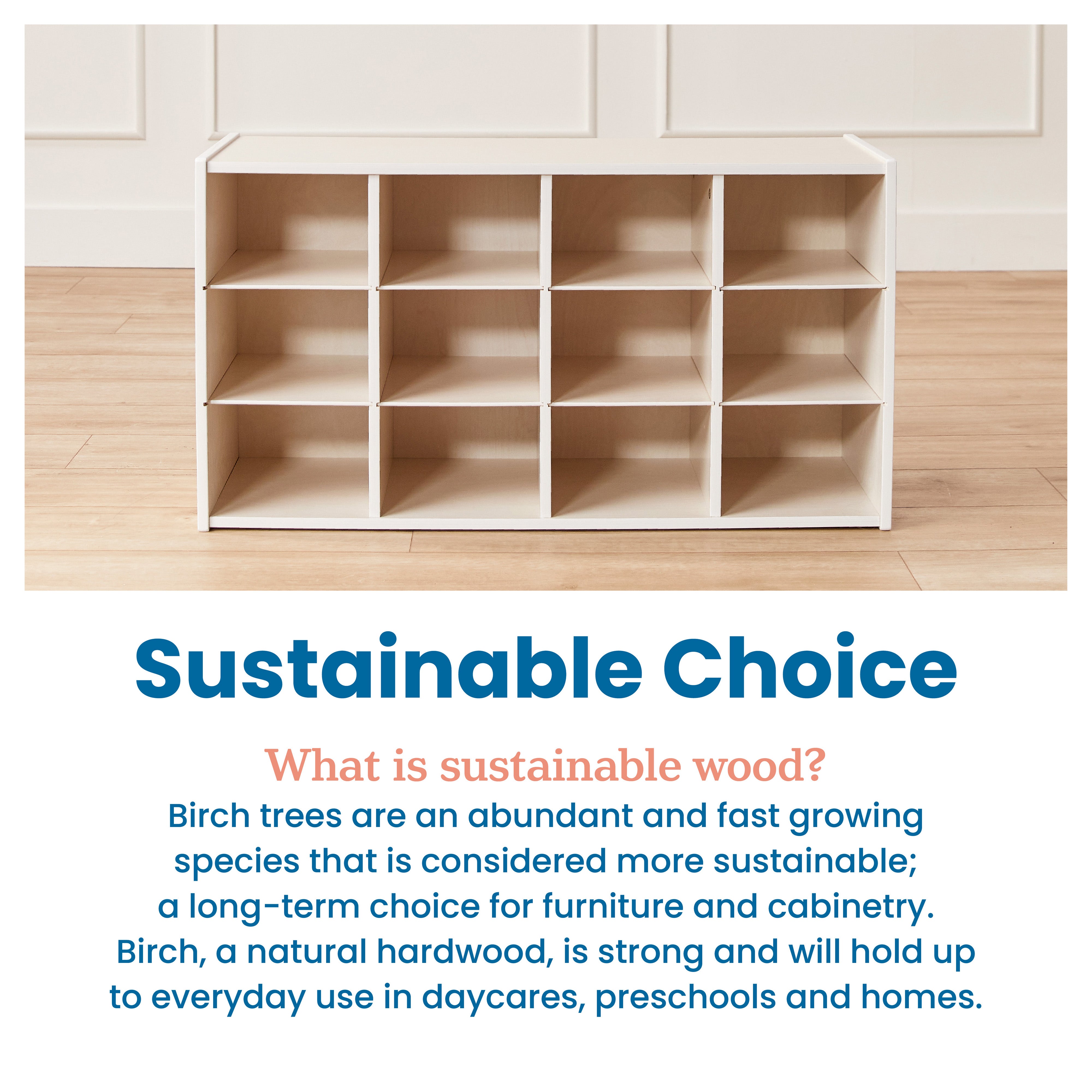 Streamline 12 Cubby Tray Storage Cabinet, 3x4