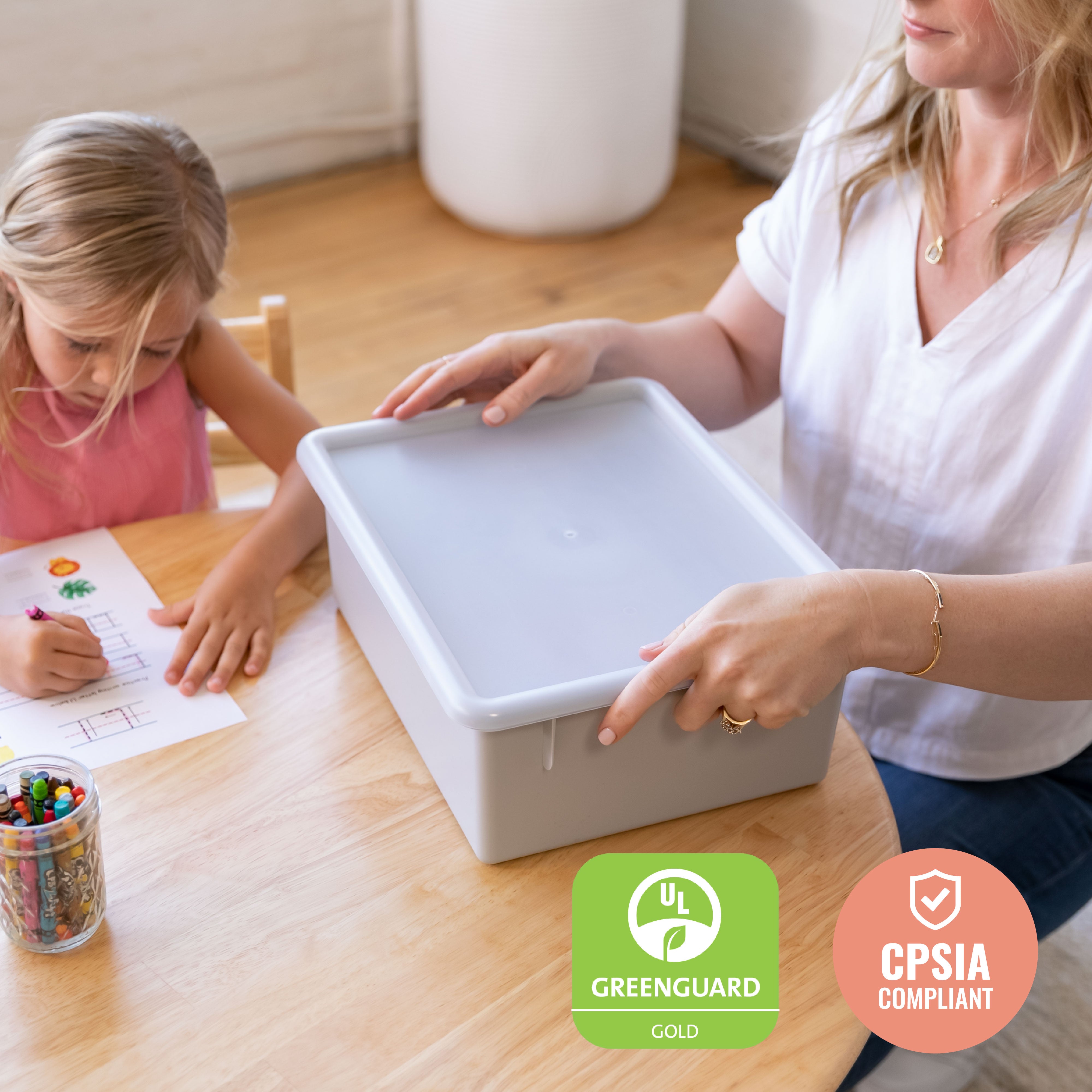 Letter Size Deep Tray with Lid, 10-Piece