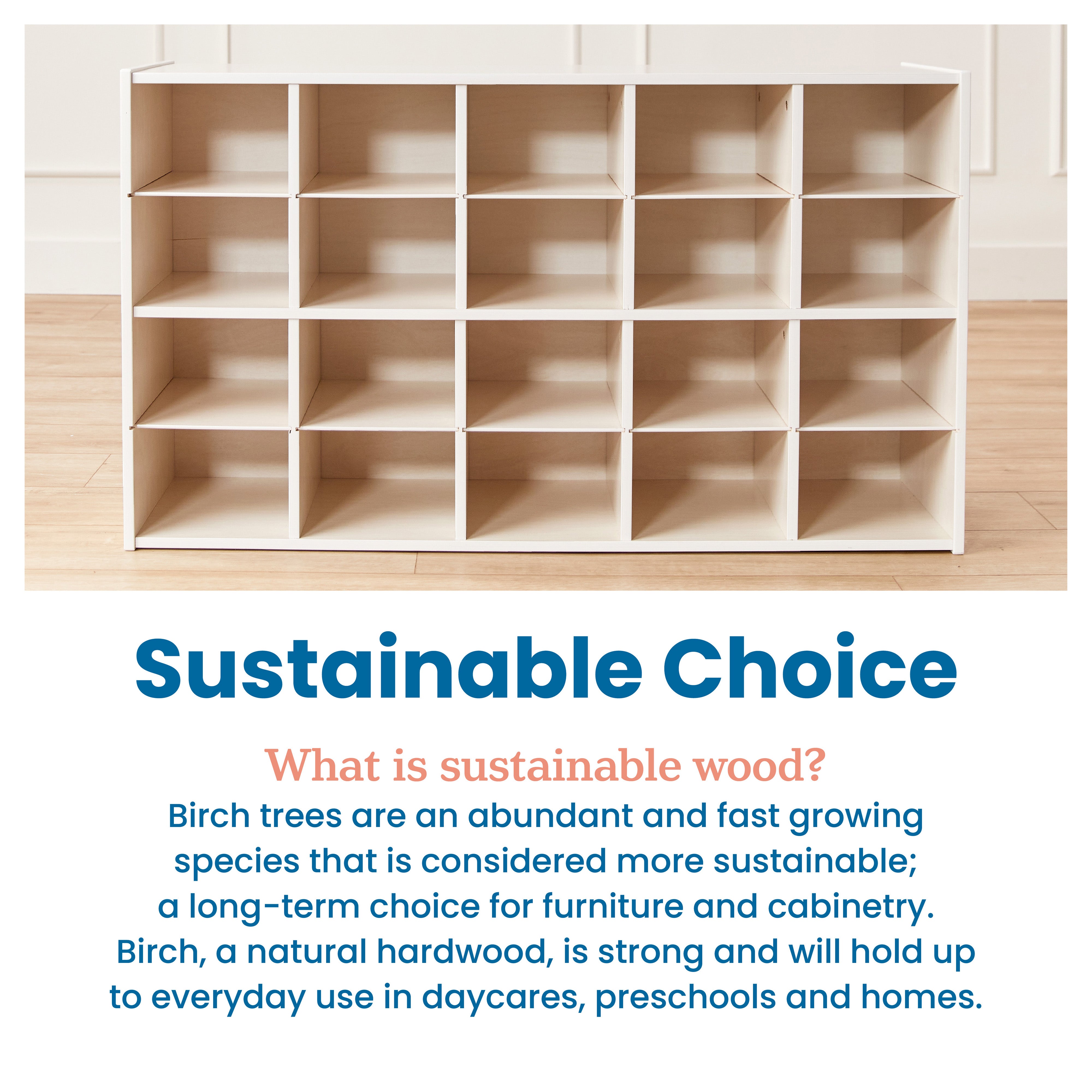 Streamline 20 Cubby Tray Storage Cabinet, 4x5