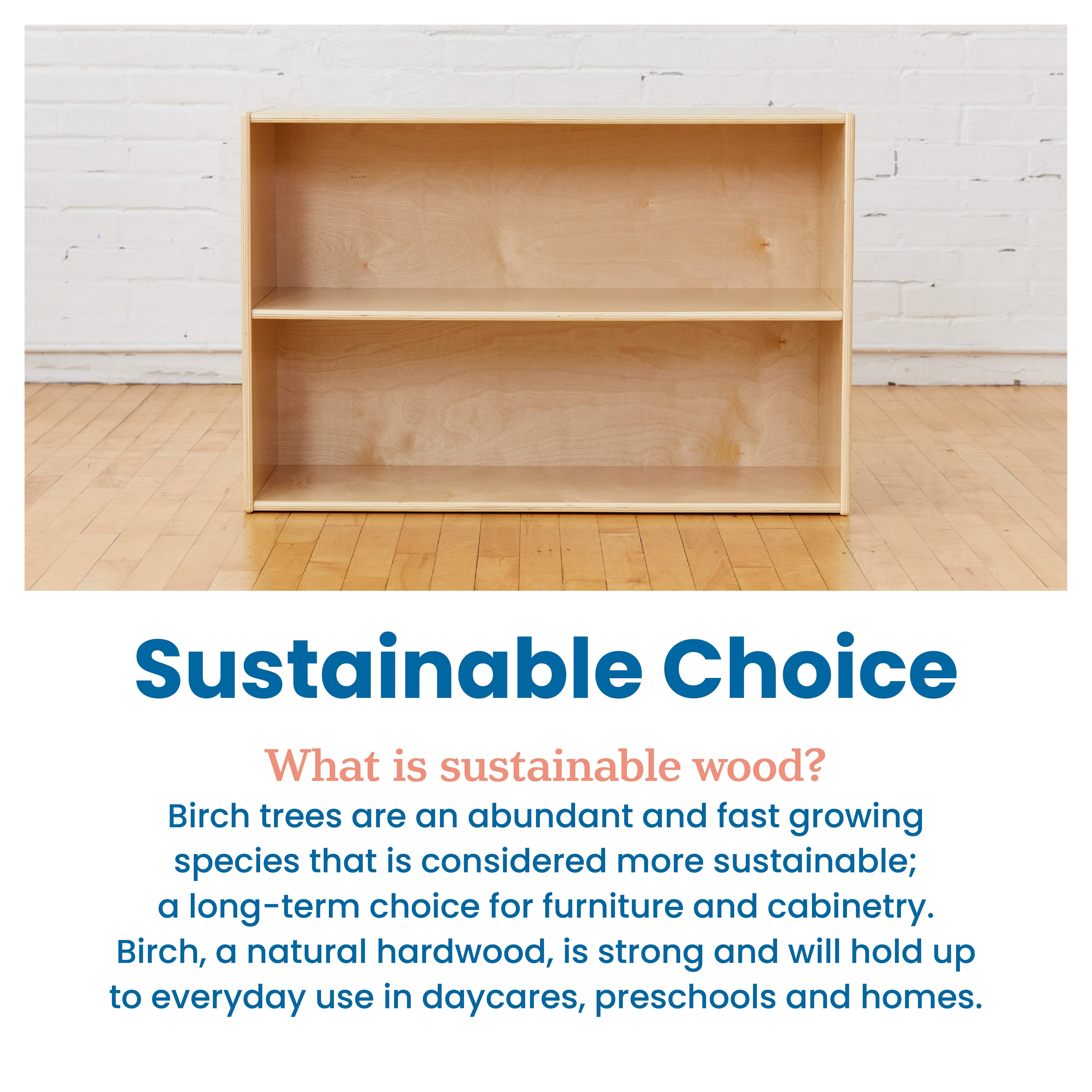 Streamline 2-Shelf Storage Cabinet, 24in