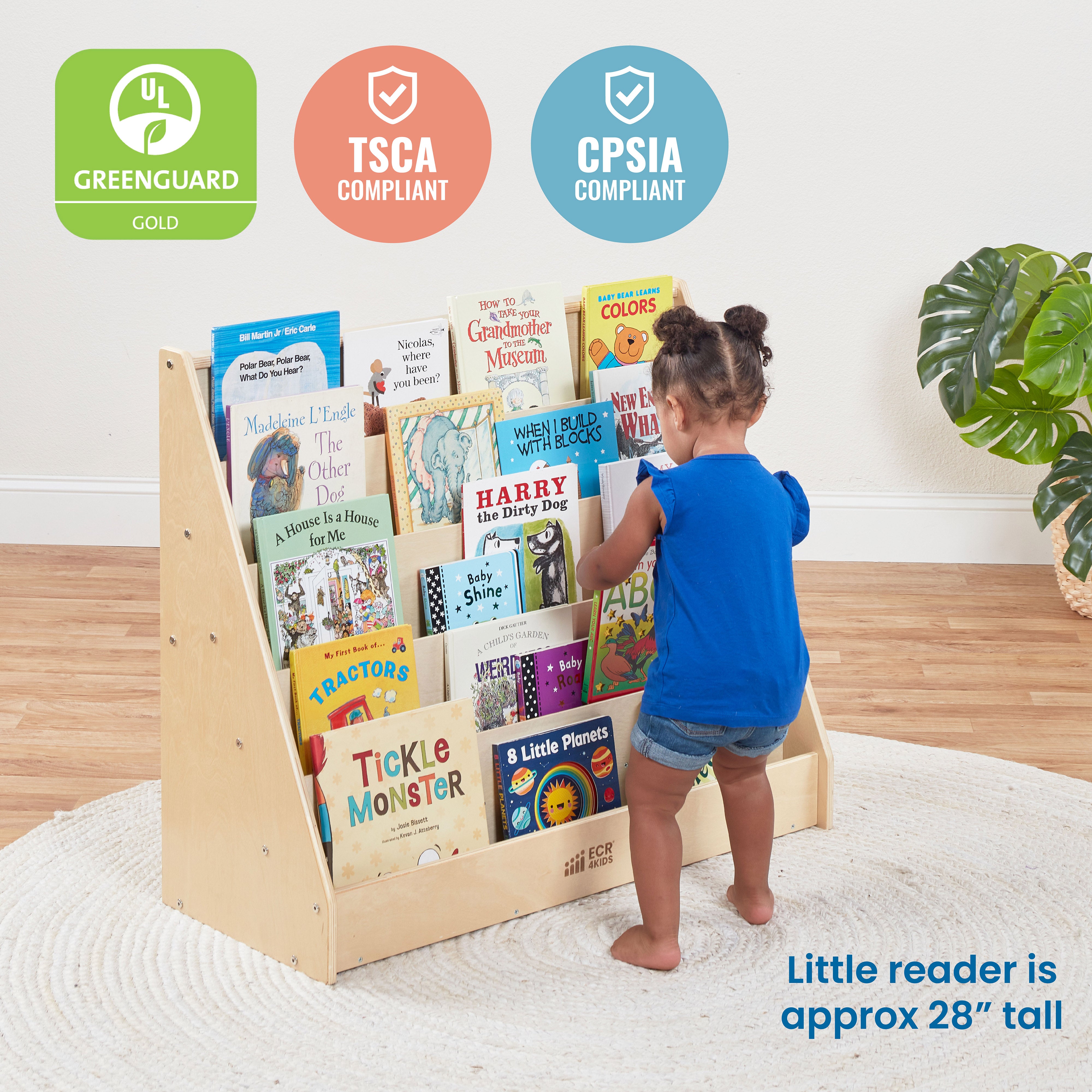 Preschool Nature-Inspired Reading Circle with Tree Log Seating and Book Display