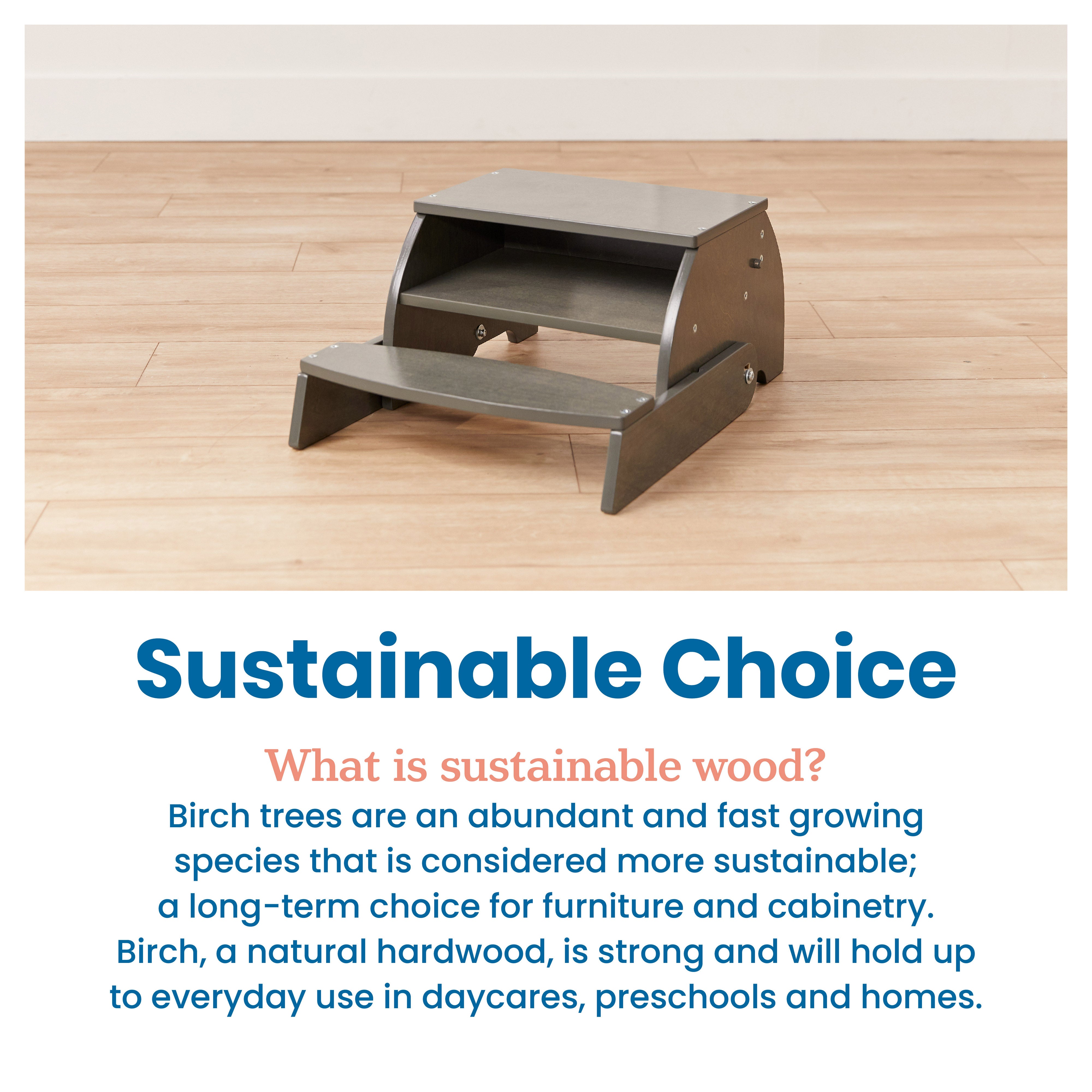 Flip-Flop Step Stool and Chair