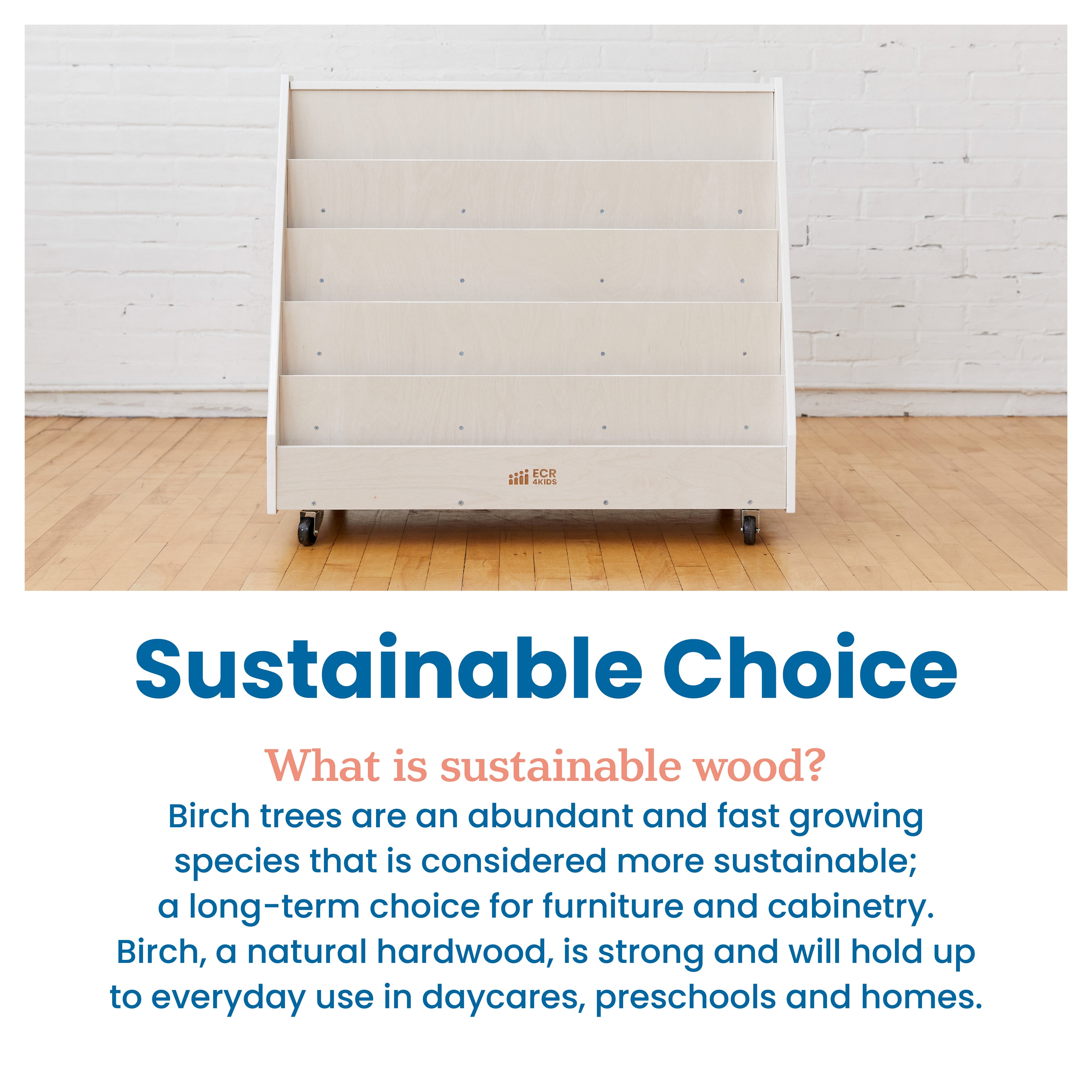 Double-Sided Mobile Book Display