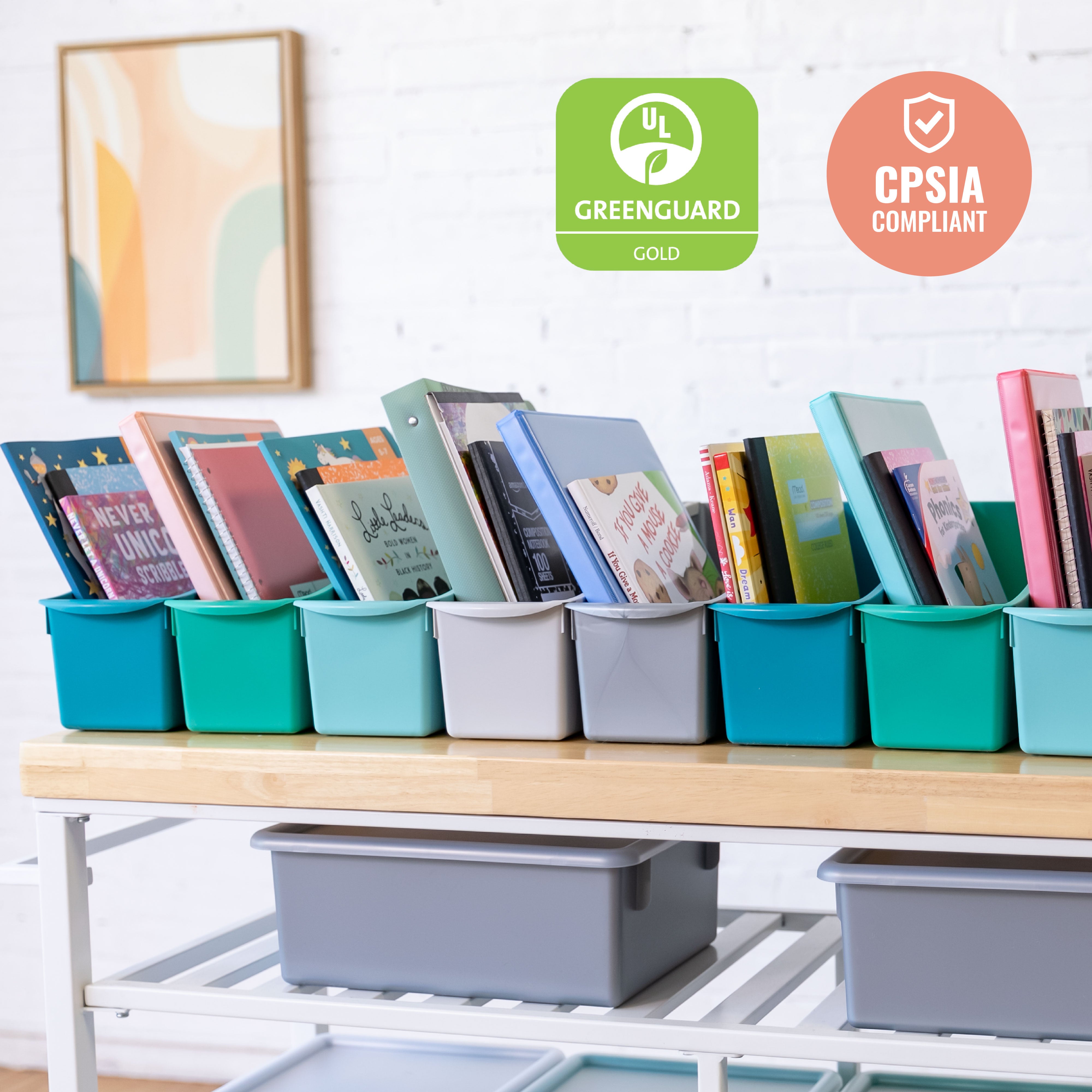 Linking Book Bin, 10-Piece