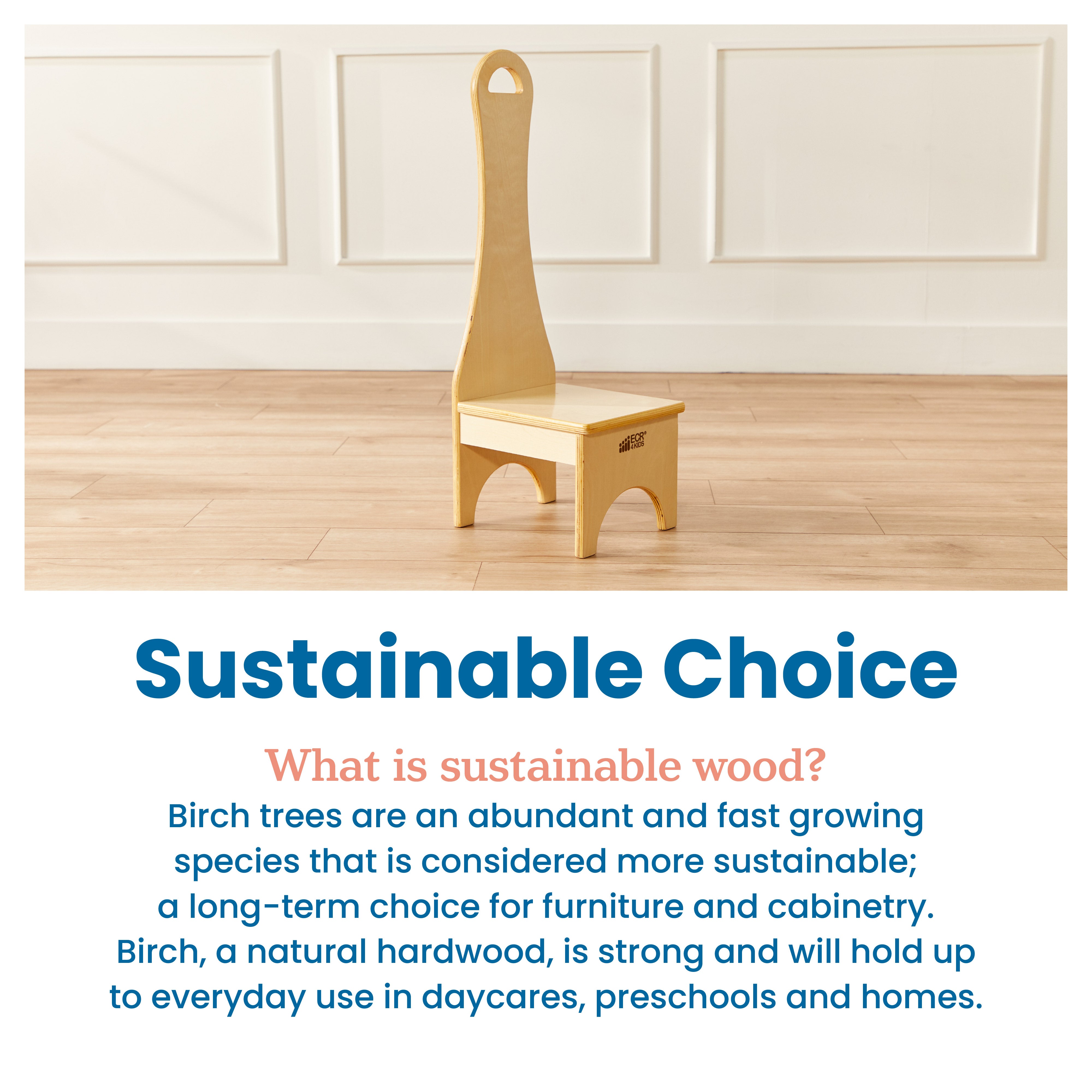 Stepstool with Long Handle