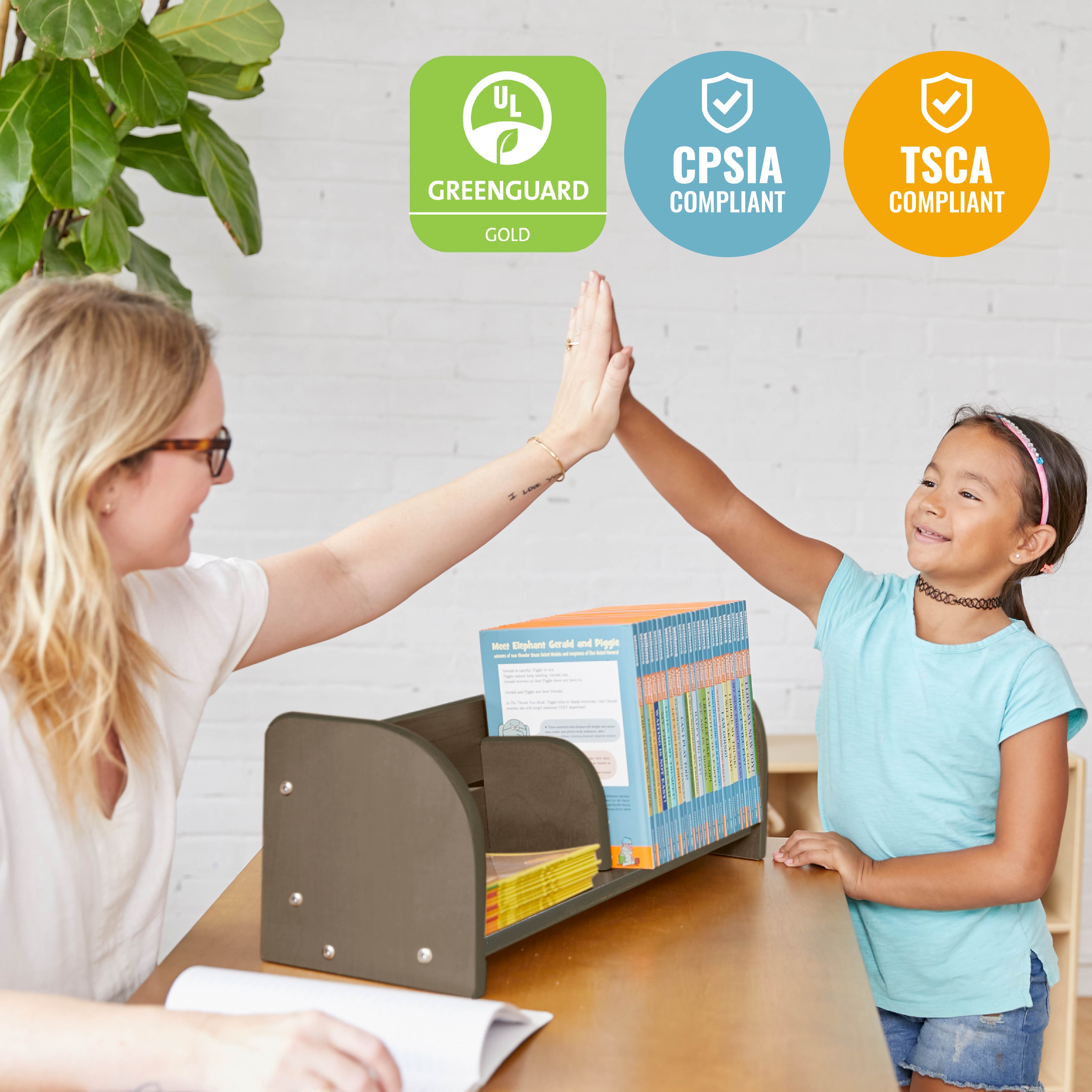 Tabletop Book Display, Adjustable