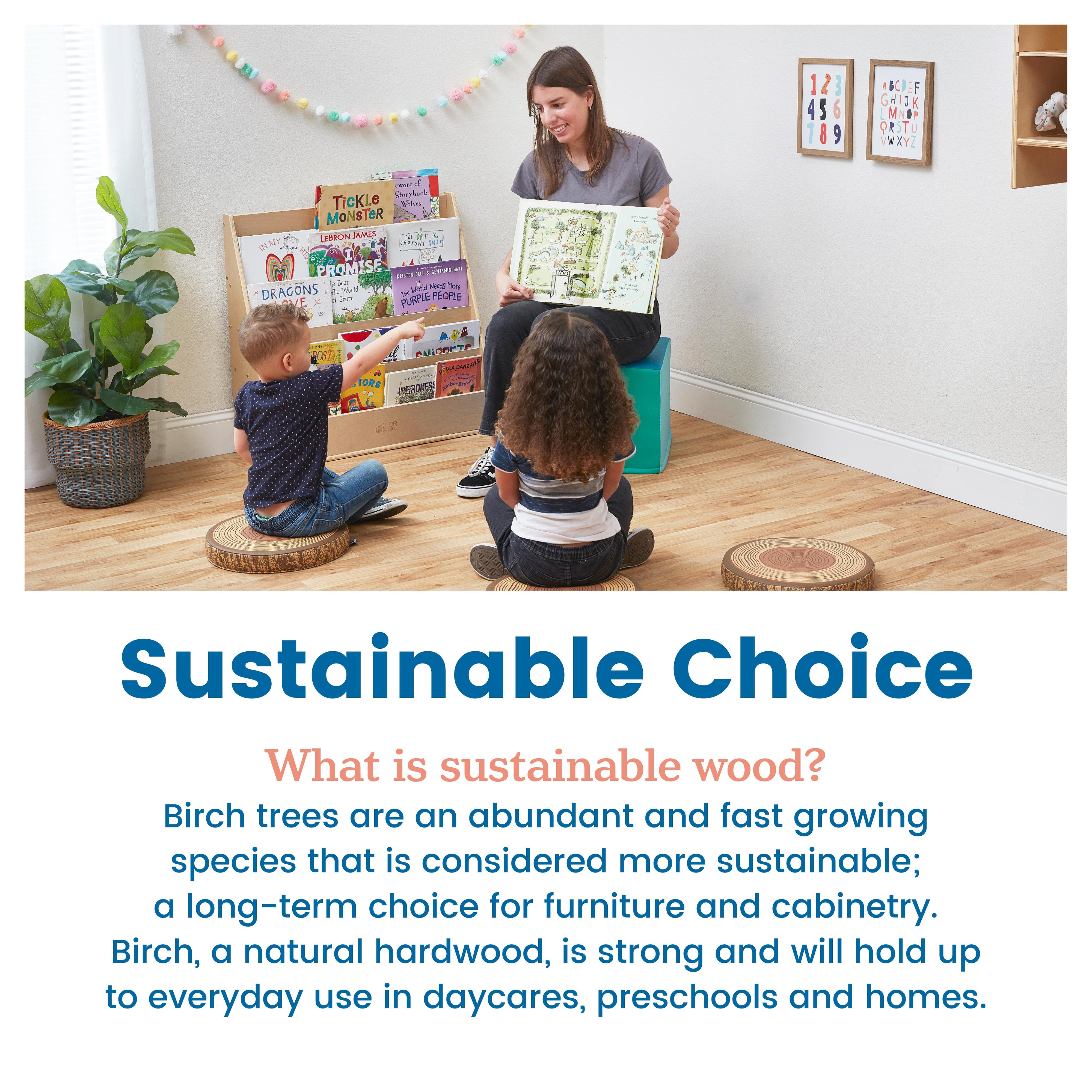 Streamline Single-Sided Book Display with Storage