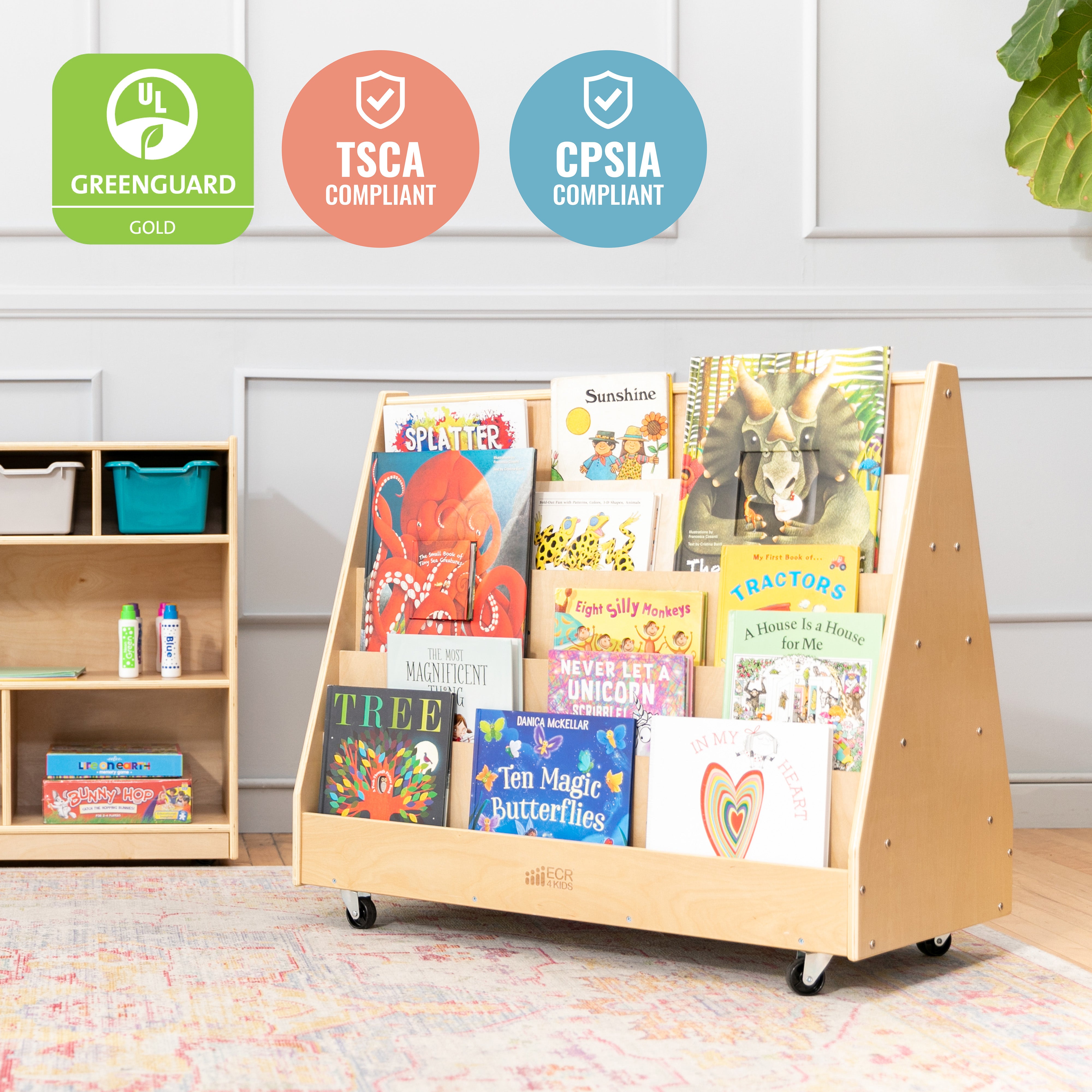 Double-Sided Mobile Book Display