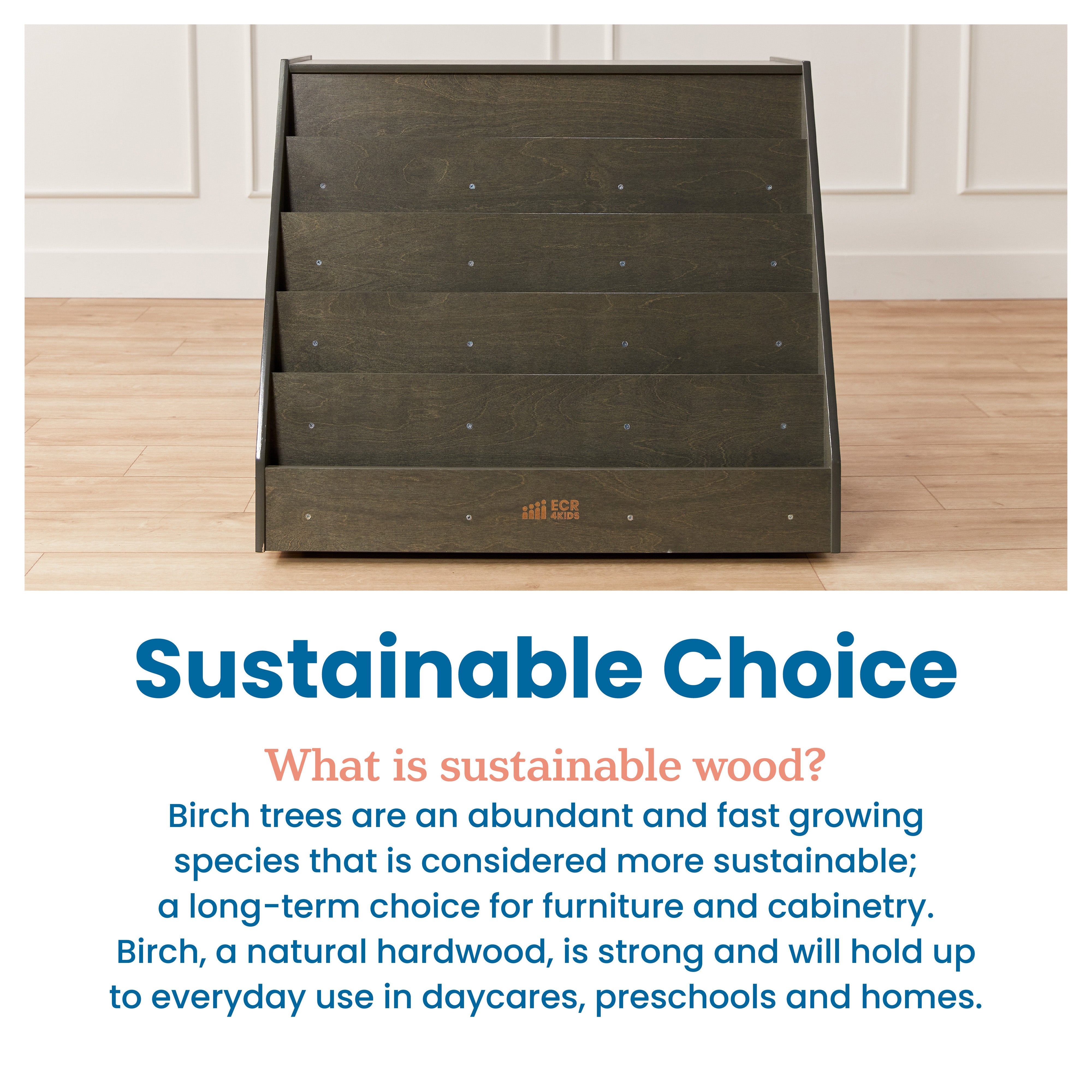 Double-Sided Mobile Book Display with Storage