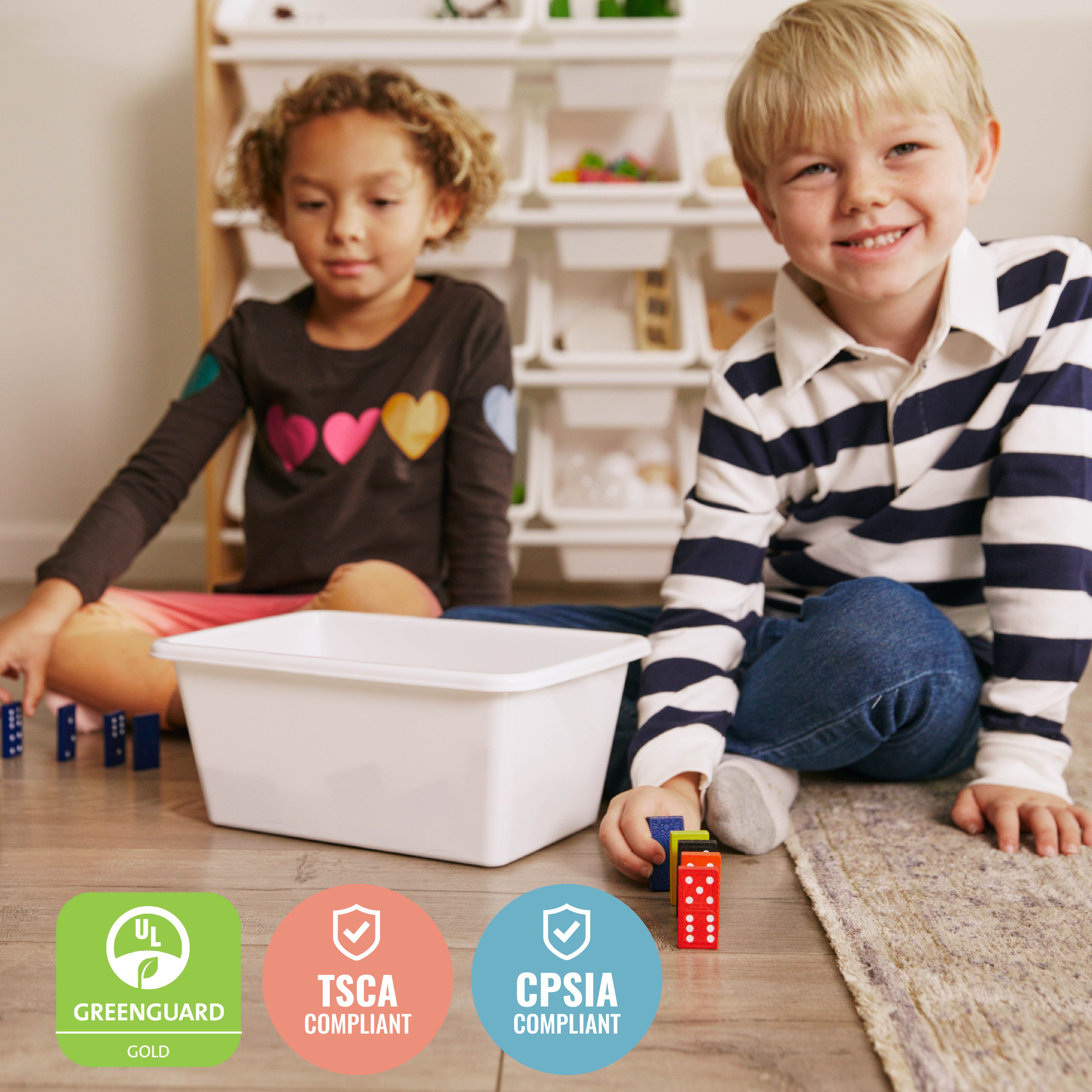 4-Tier Organizer with 12 Bins