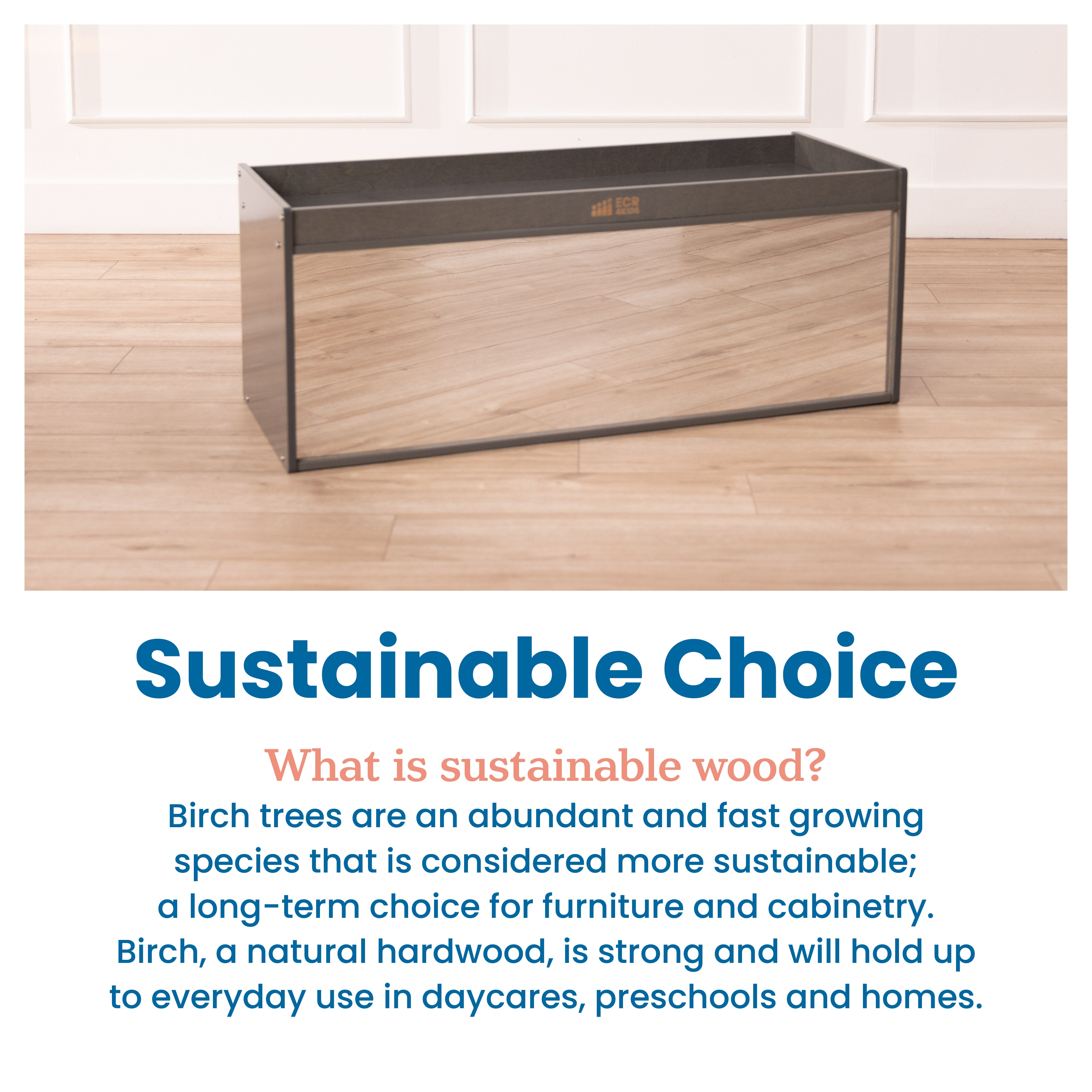 Storage Cabinet with Activity Top and Mirror