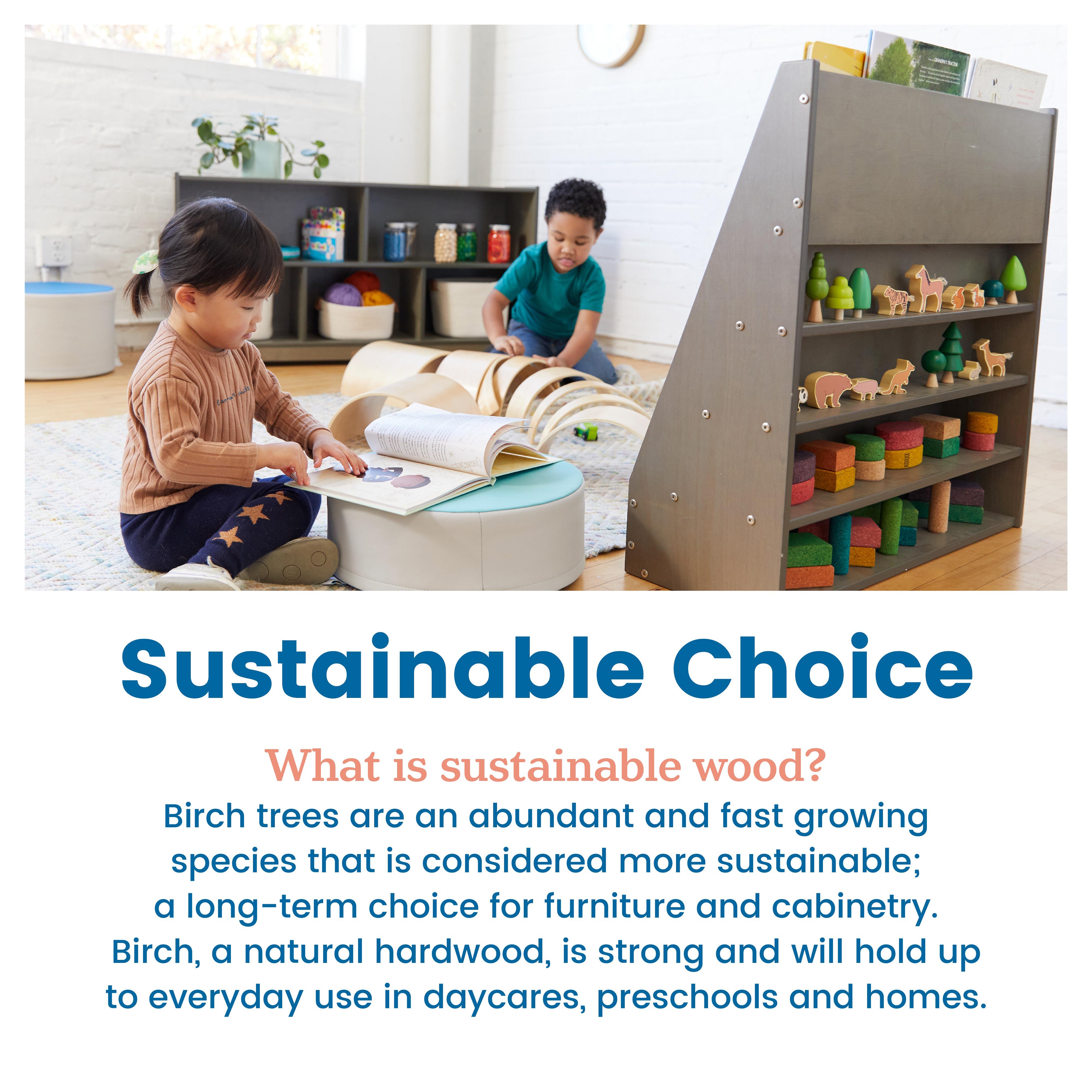 Streamline Single-Sided Book Display with Storage