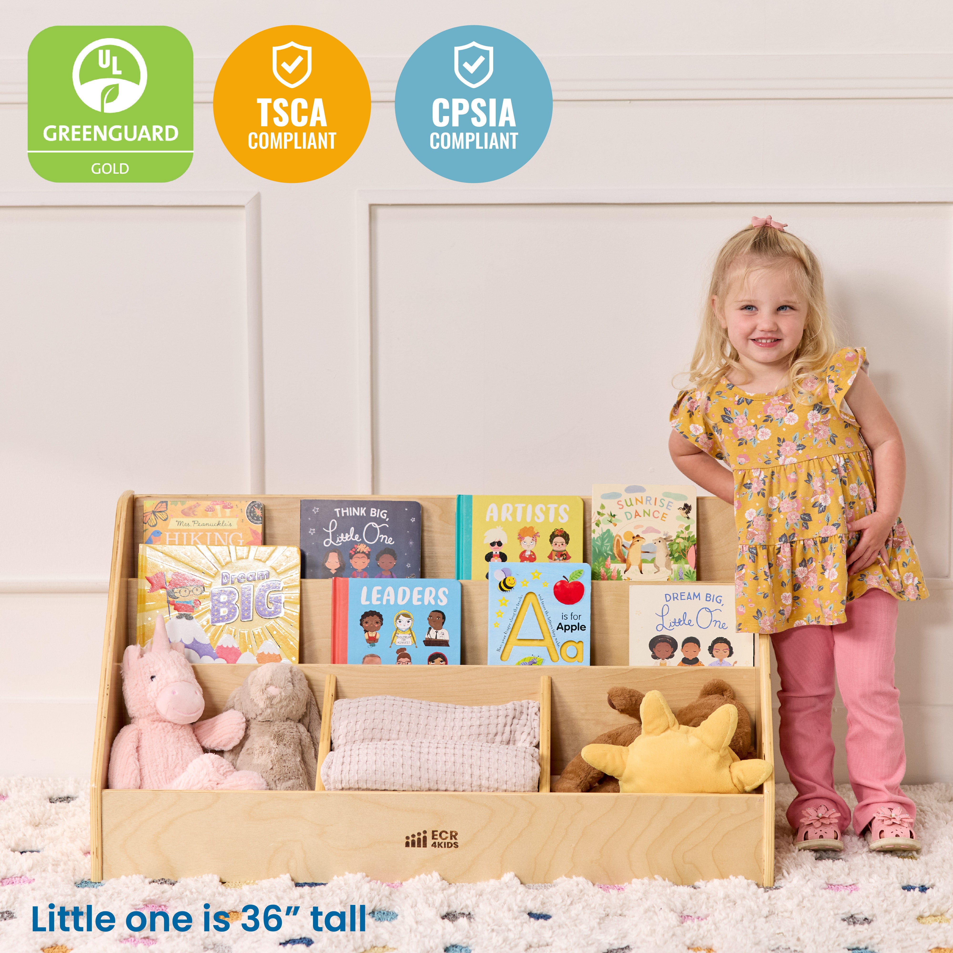 5-Compartment Easy to Reach Book Display