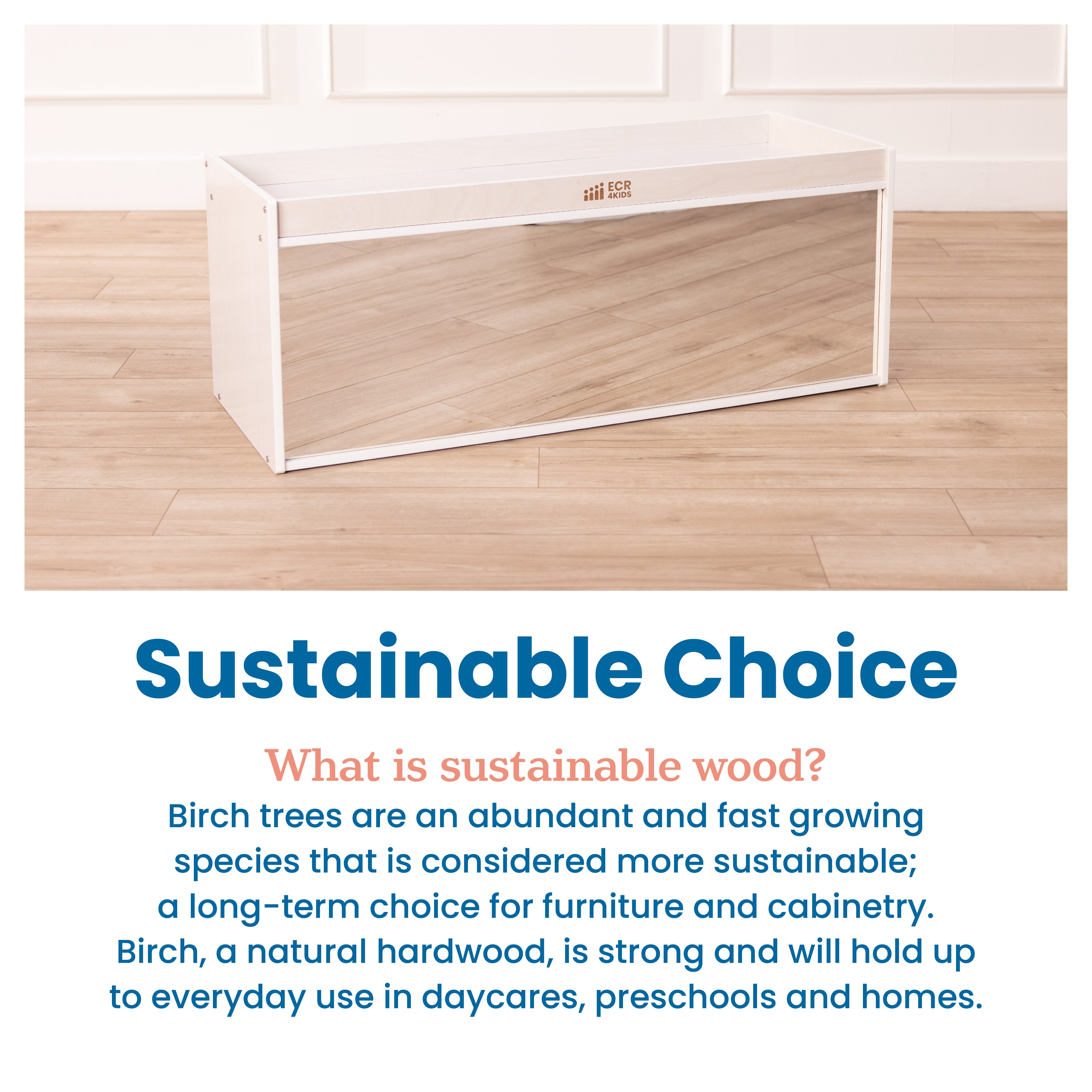 Storage Cabinet with Activity Top and Mirror