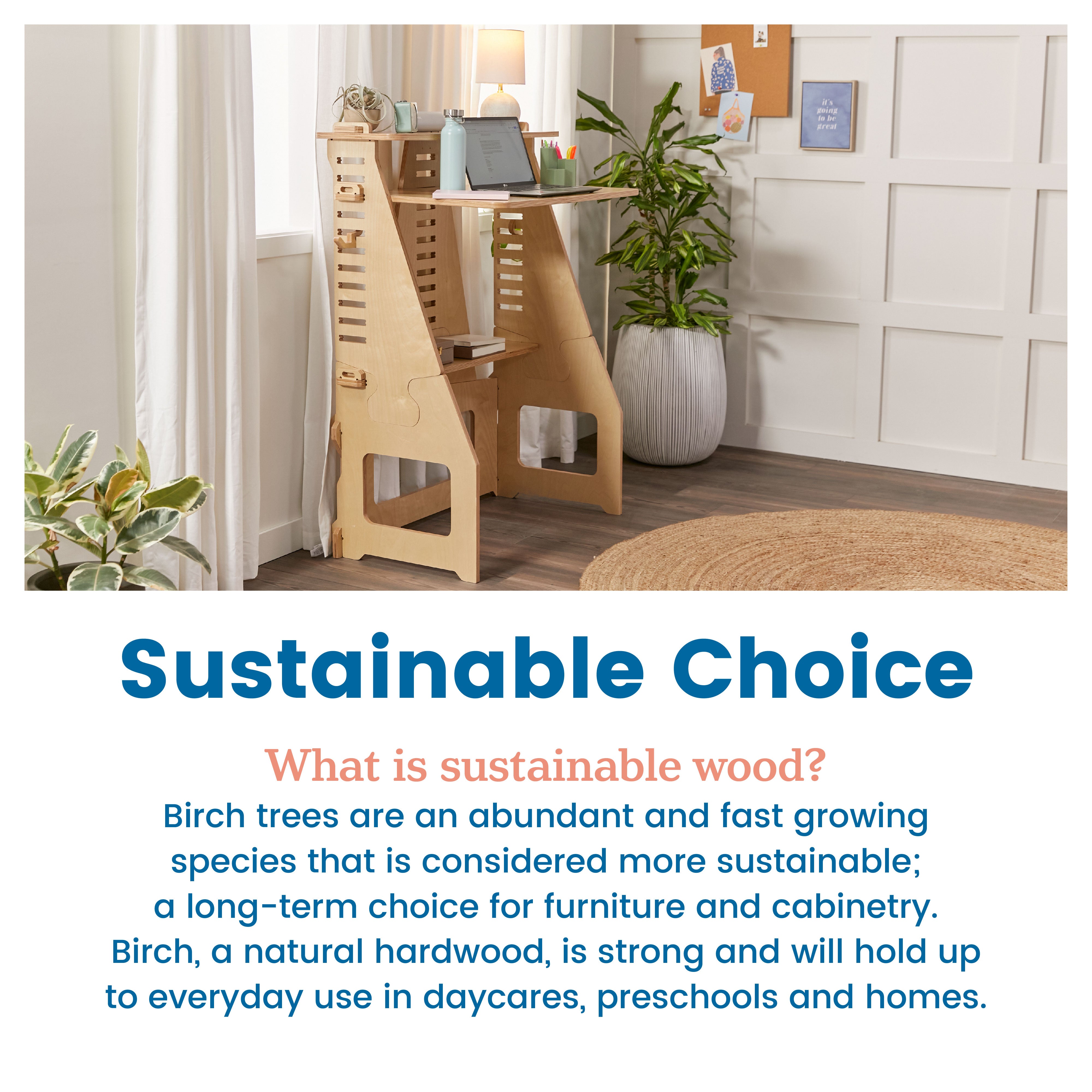 Grows with Me Sit or Stand Desk