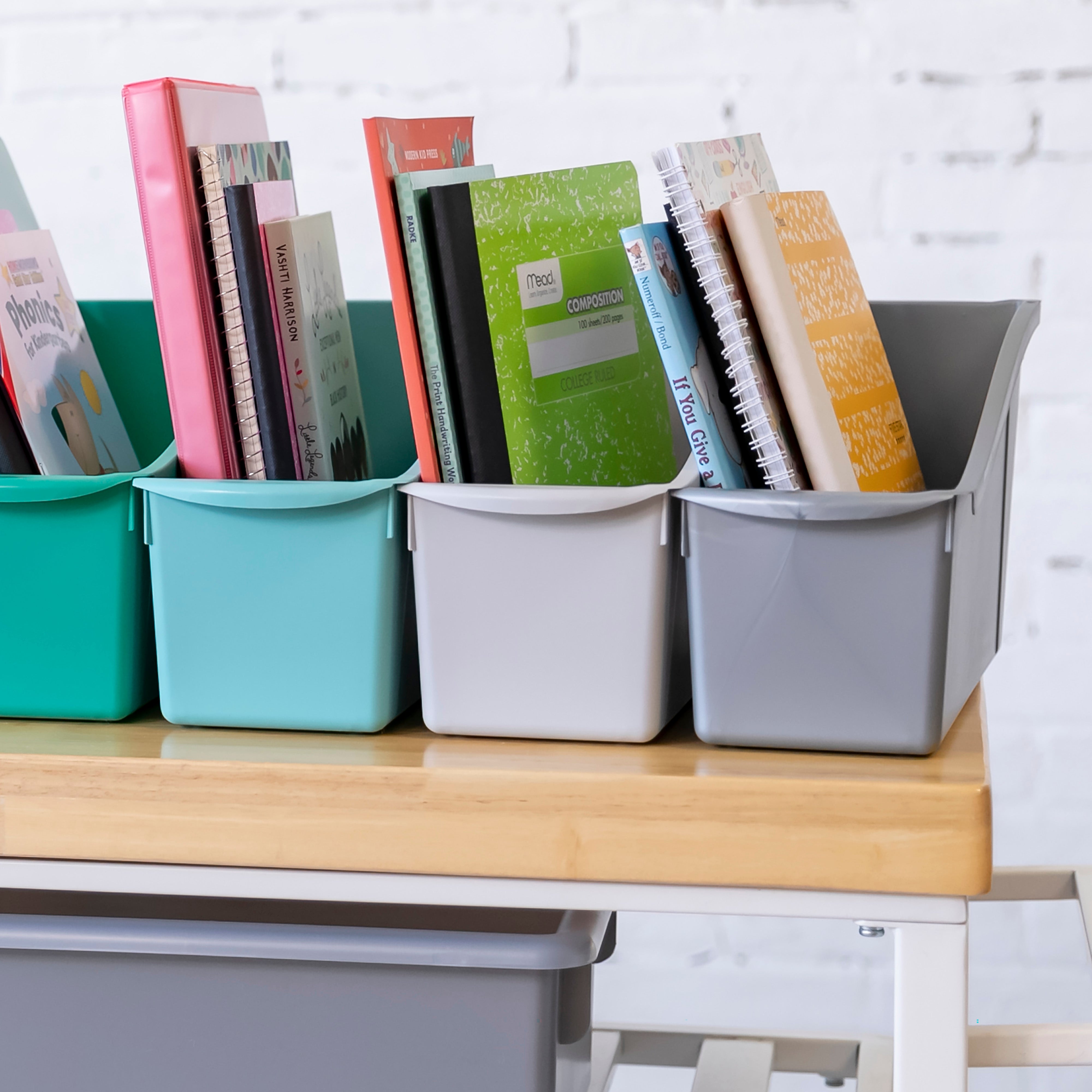 Linking Book Bin, 10-Piece