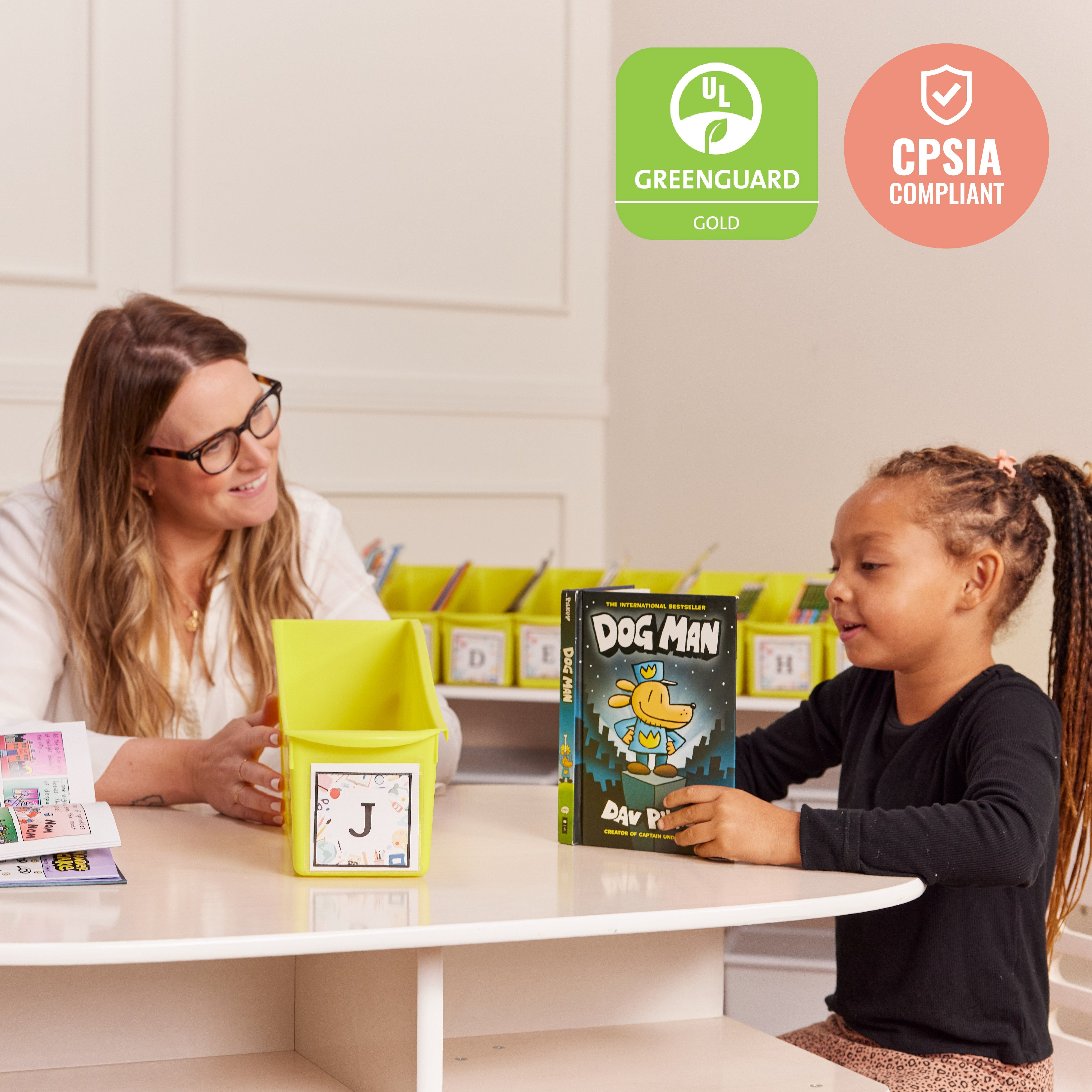 Linking Book Bin, 10-Piece