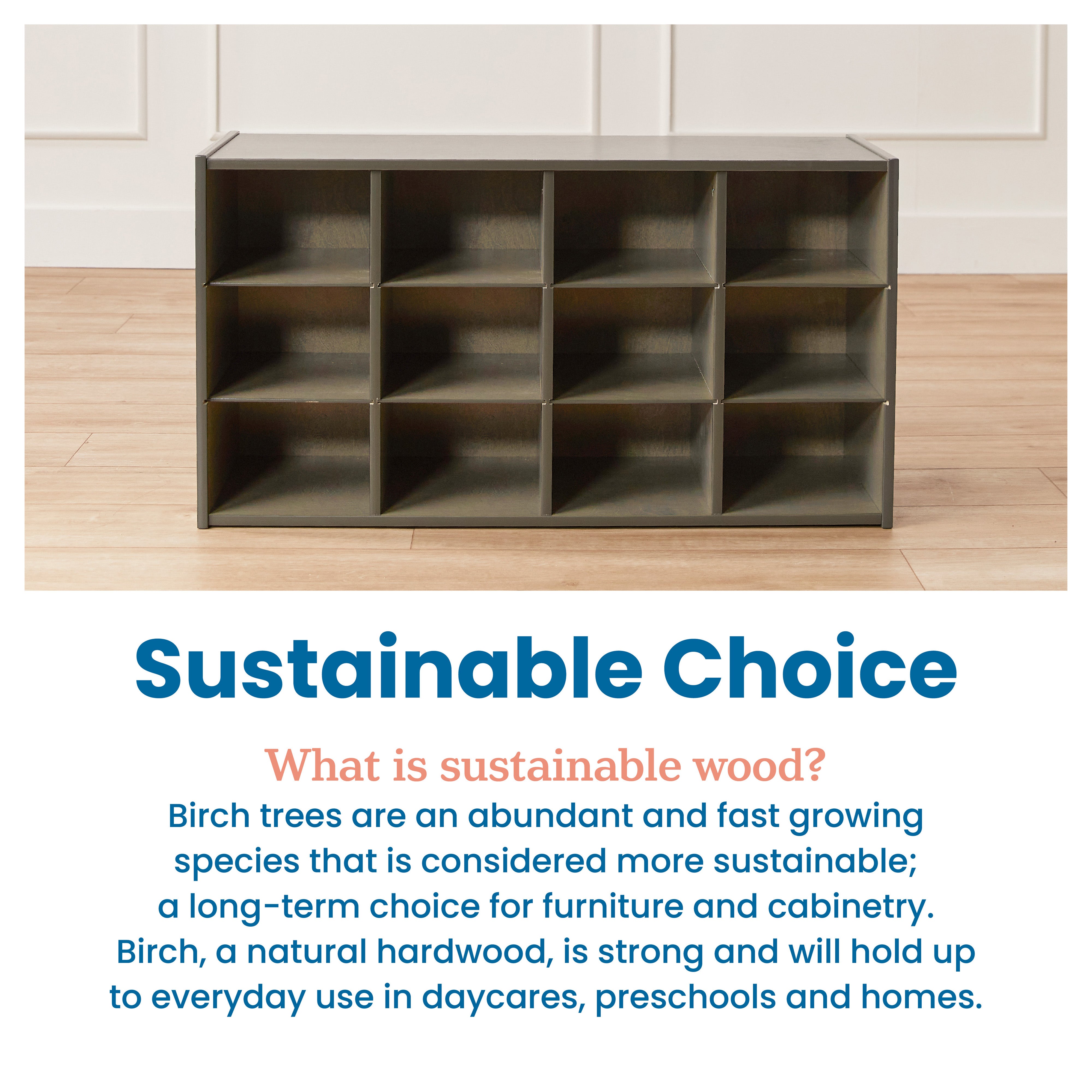 Streamline 12 Cubby Tray Storage Cabinet, 3x4