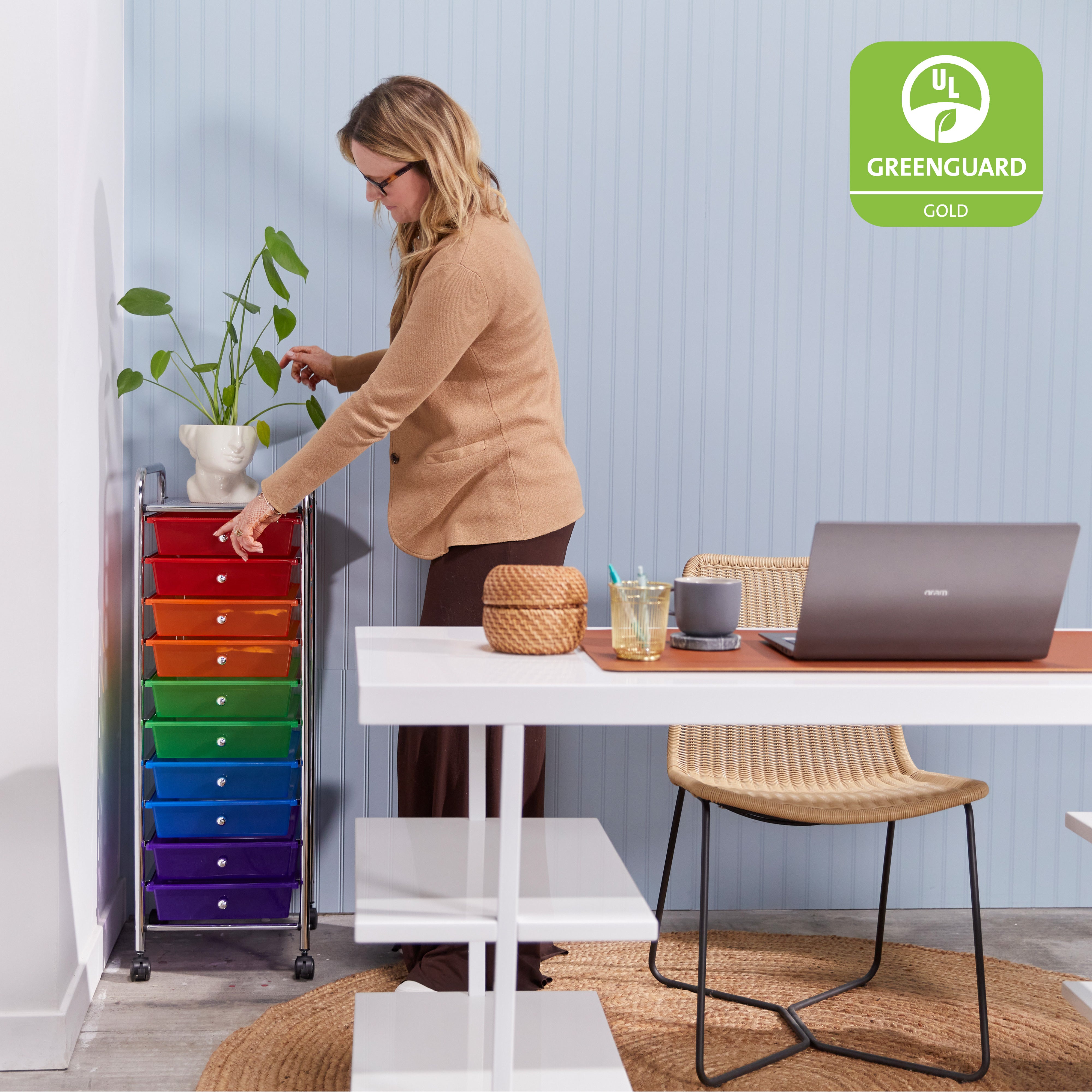 10-Drawer Mobile Organizer