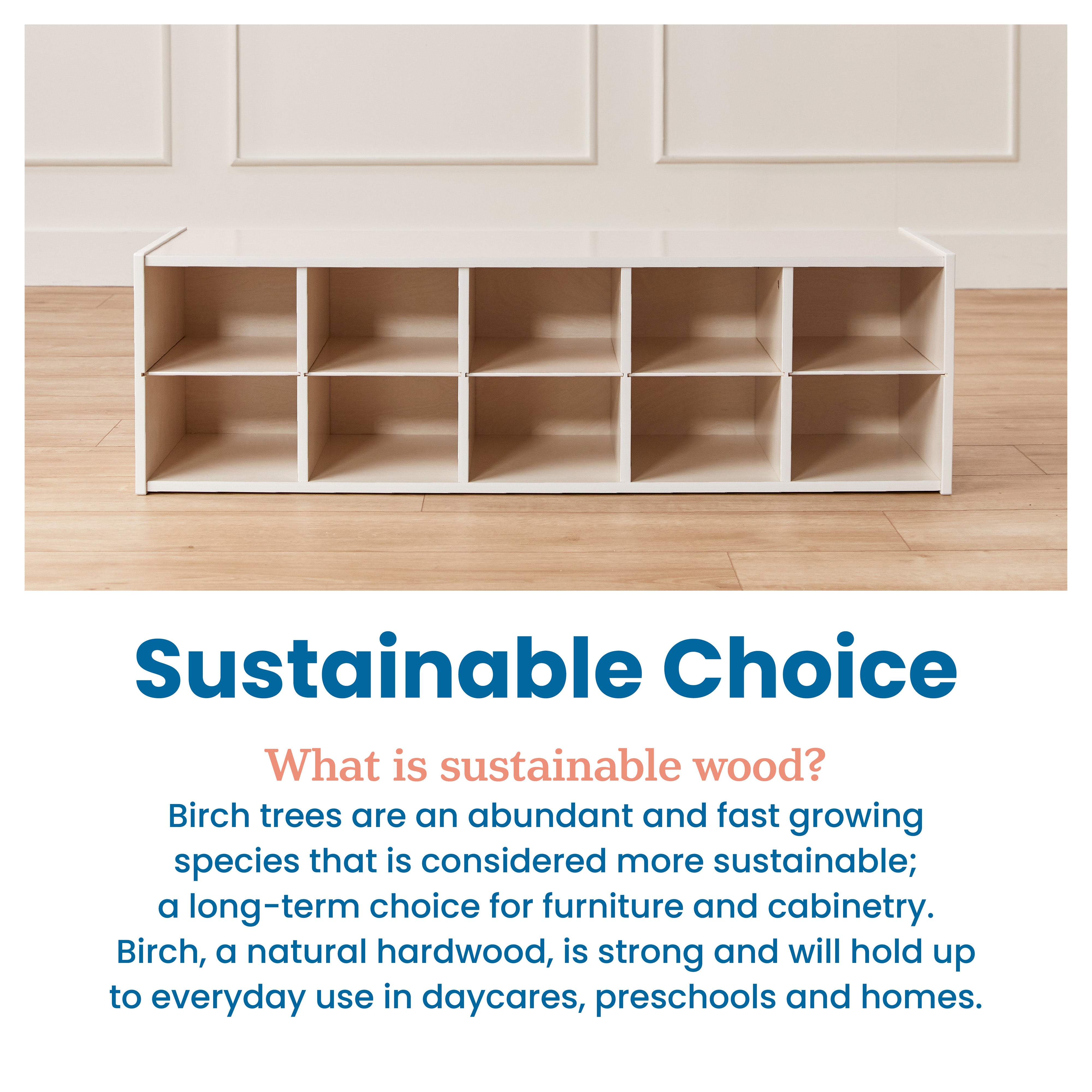 Streamline 10 Cubby Tray Storage Cabinet, 2x5