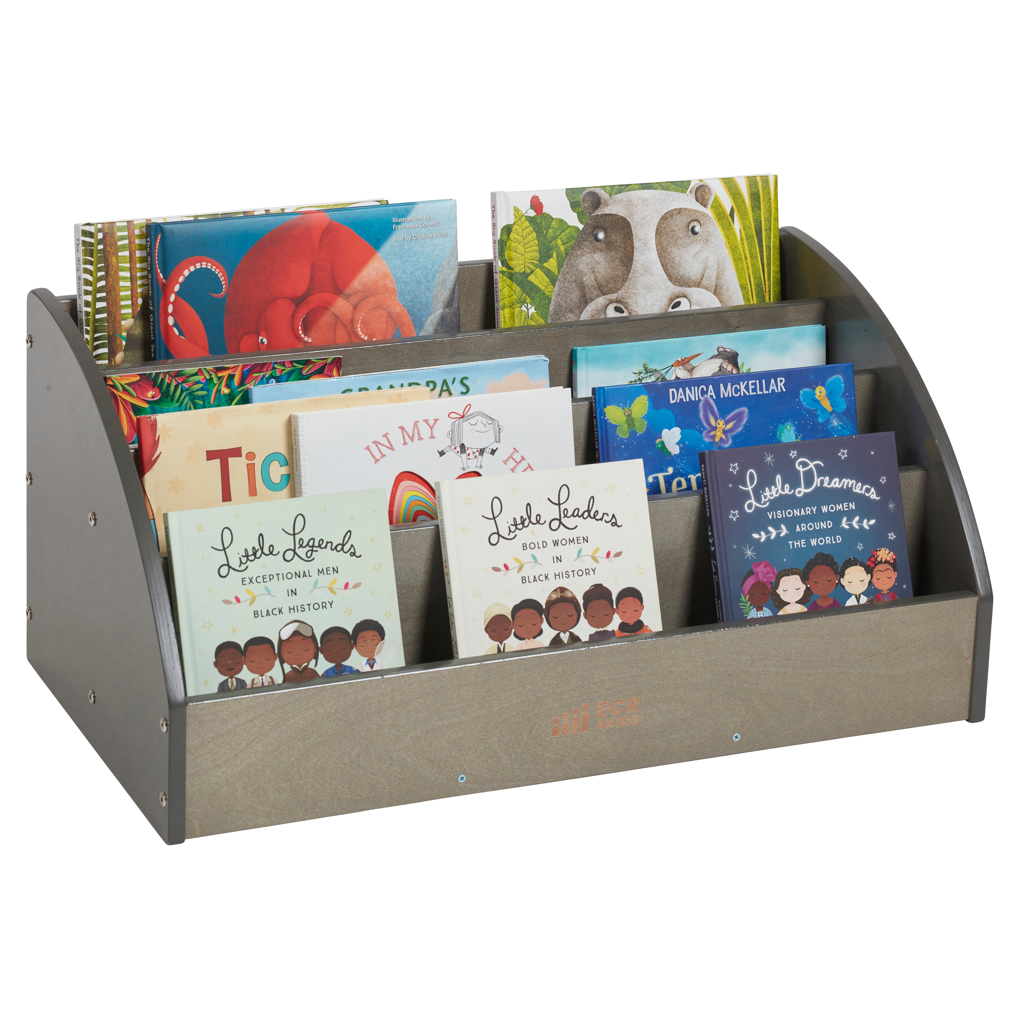 Toddler Book Display, Beginner Bookshelf