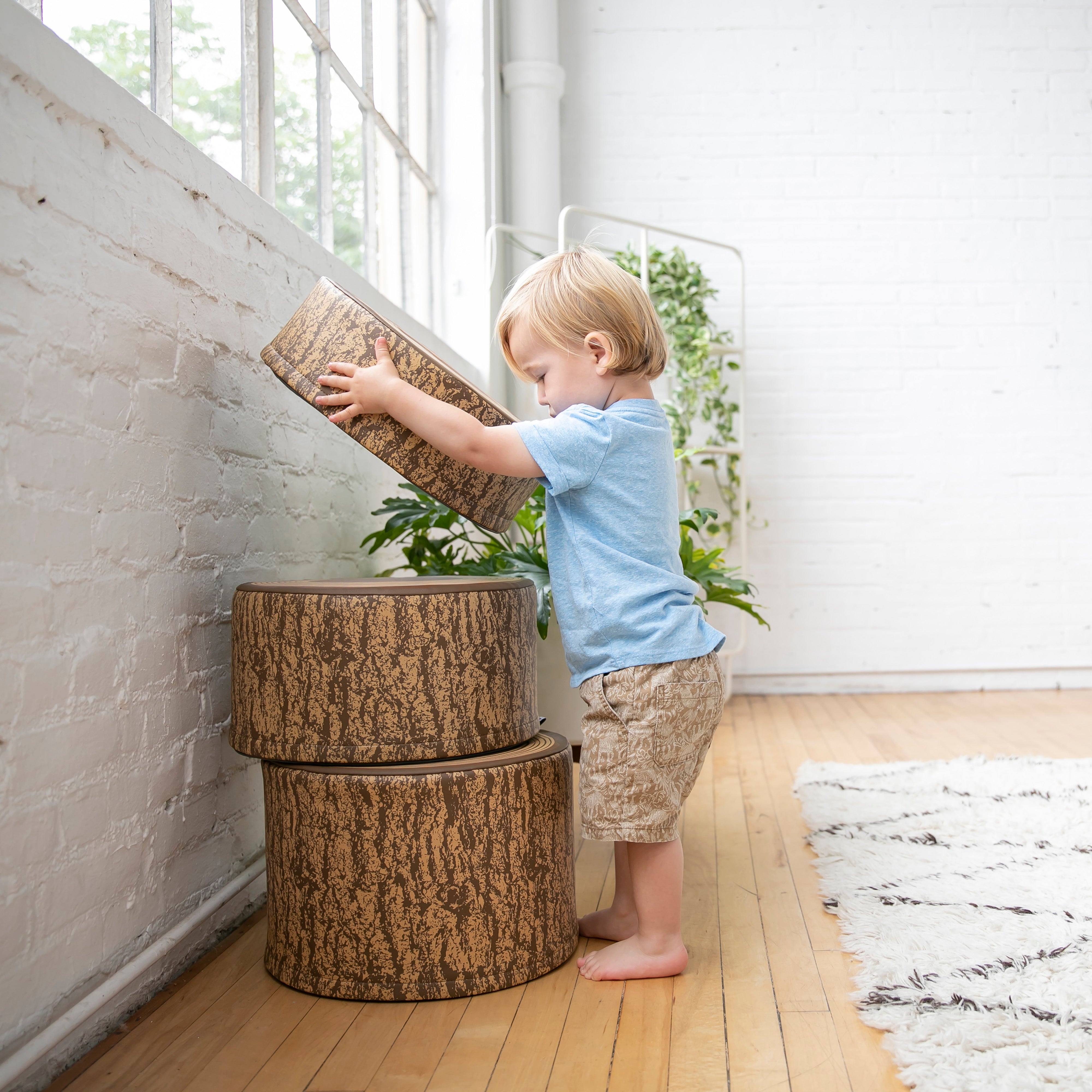 Preschool Nature-Inspired Reading Circle with Tree Log Seating and Book Display