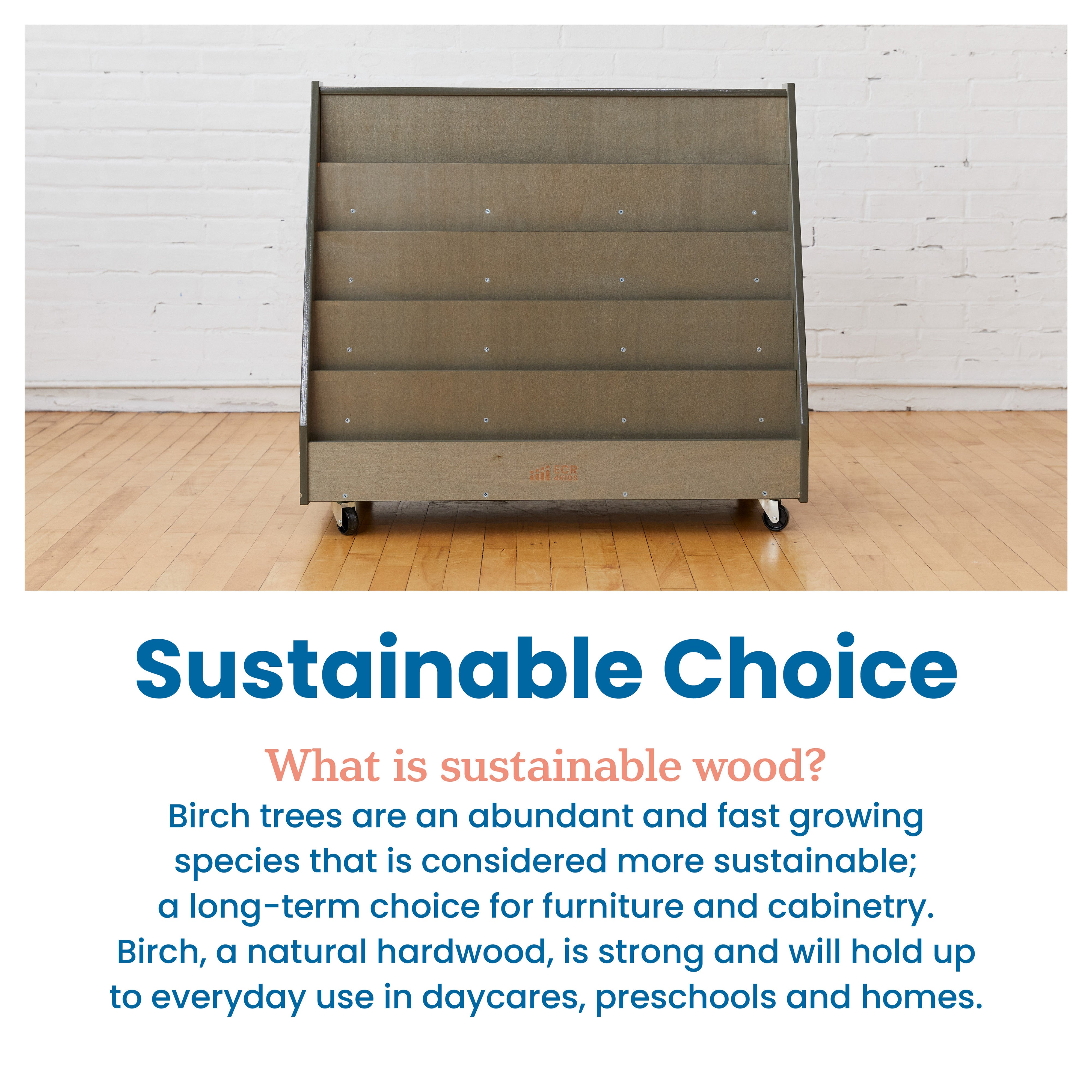 Double-Sided Mobile Book Display