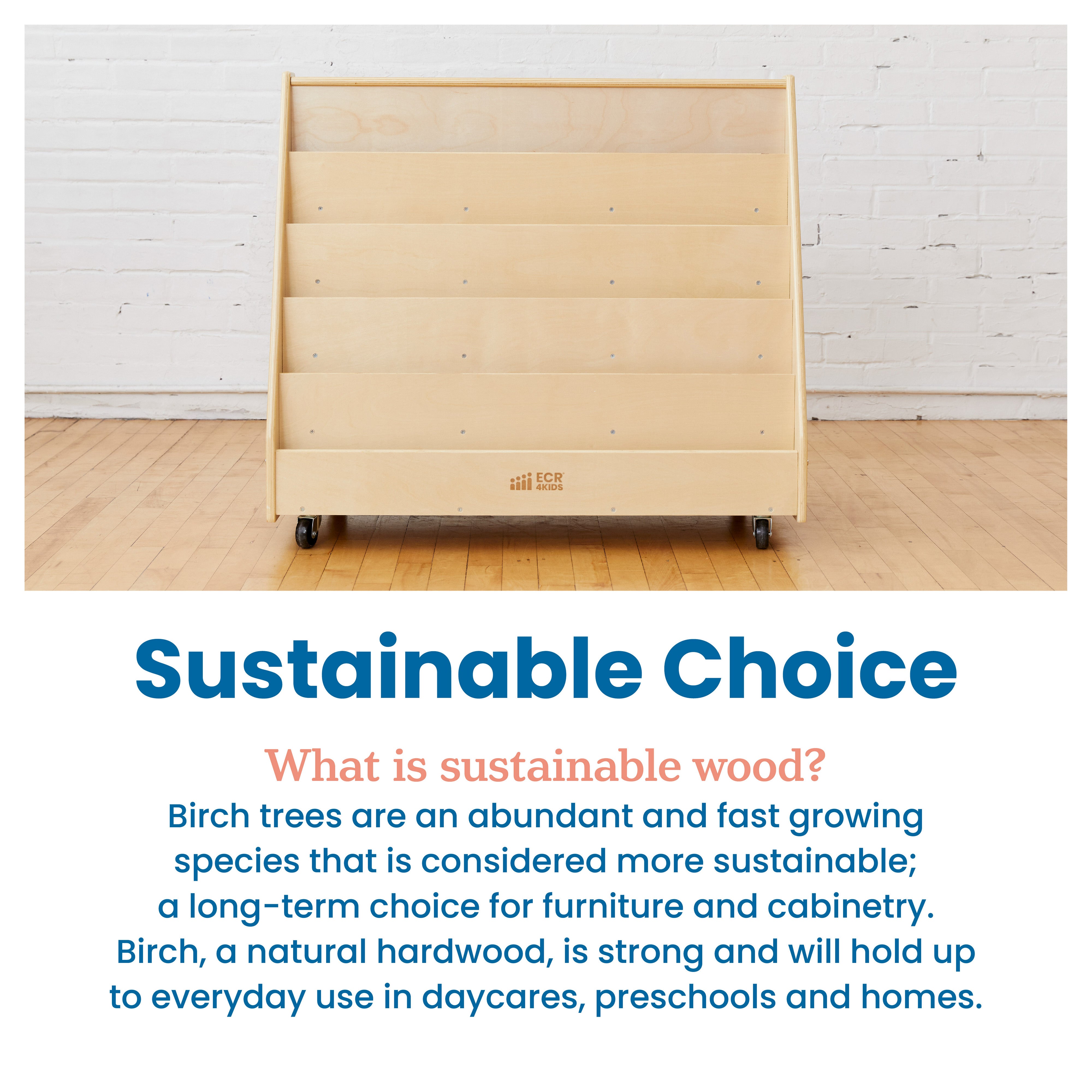 Double-Sided Mobile Book Display