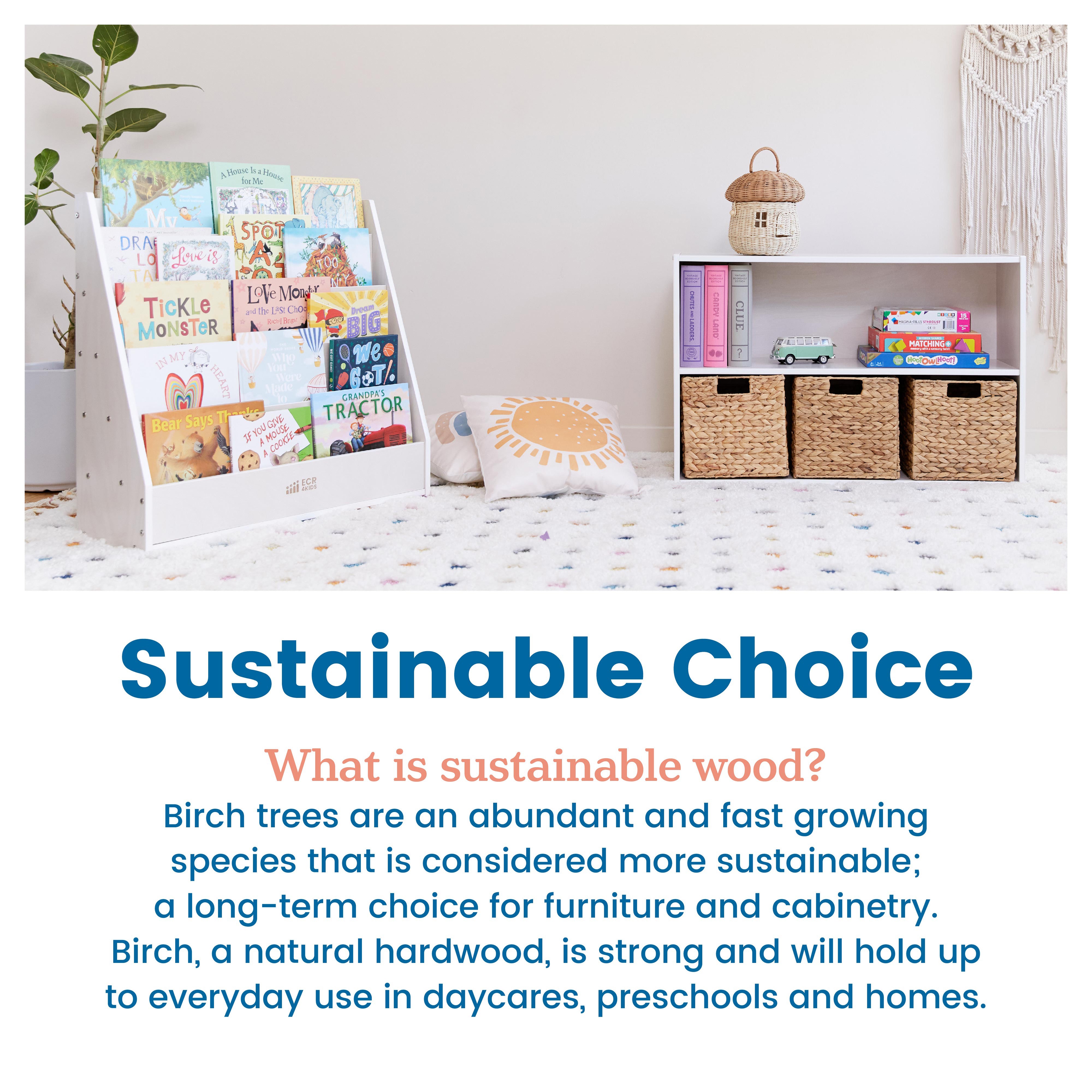 Streamline Single-Sided Book Display with Storage