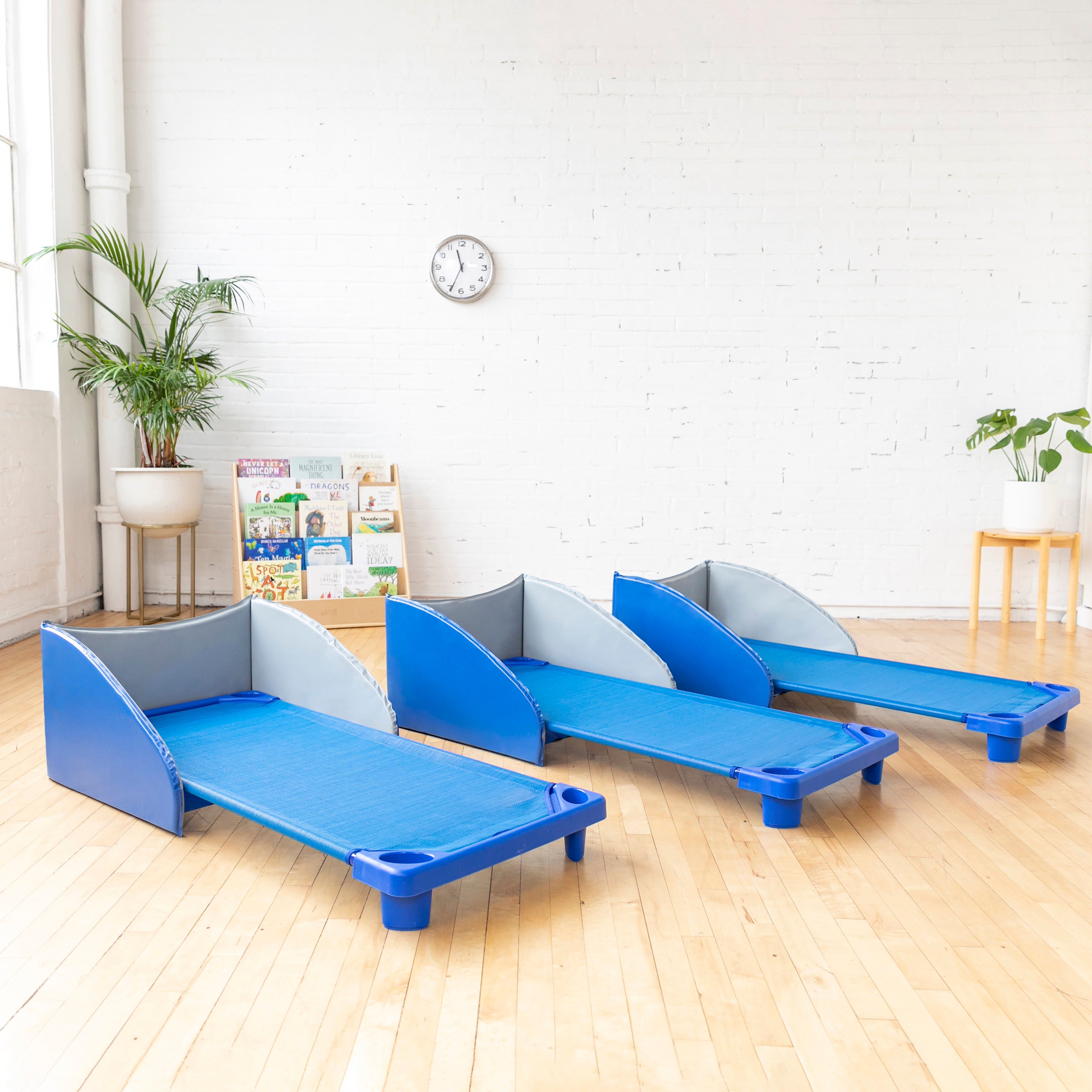 Naptime Privacy Partition, 5-Pack