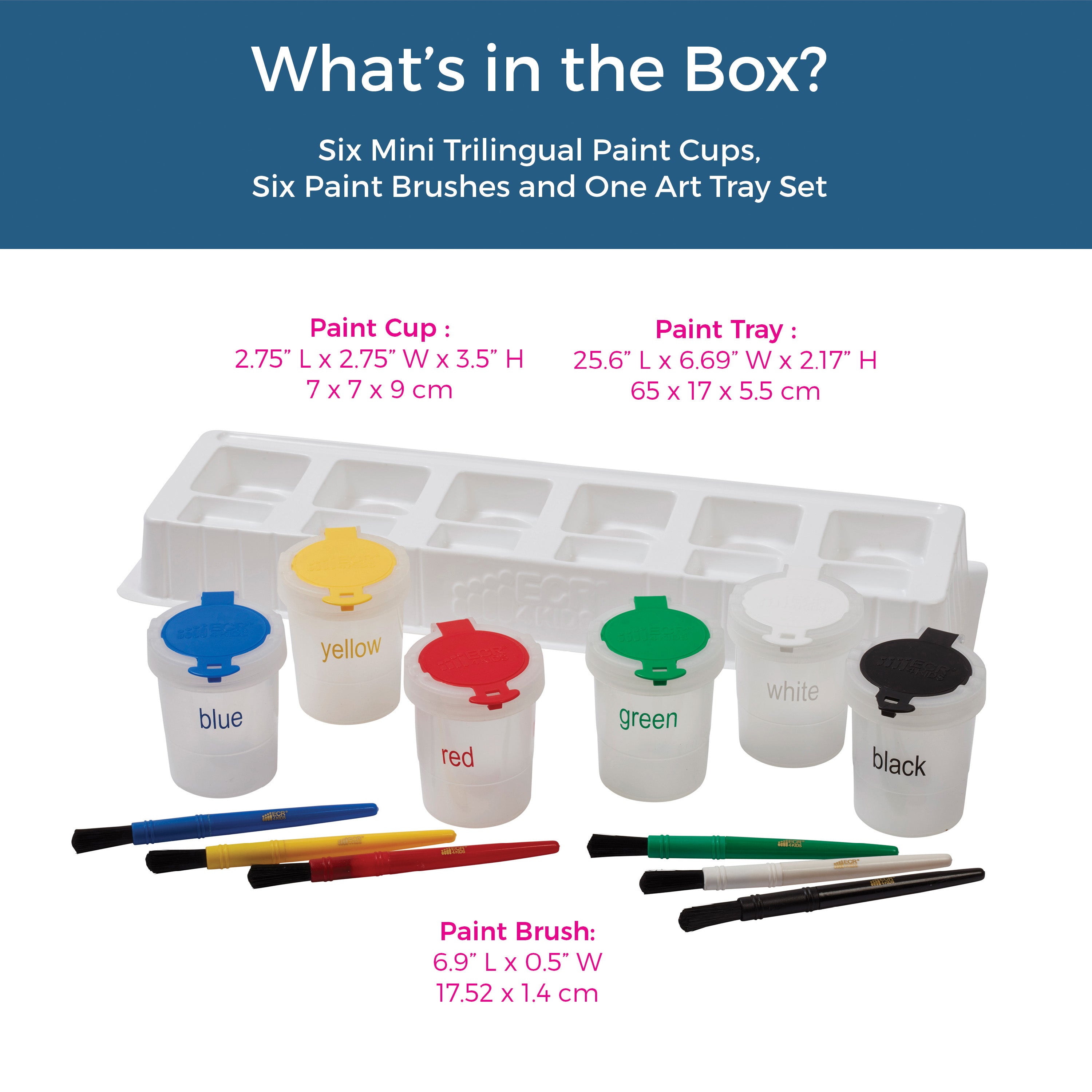 Mini Trilingual Paint Cups and Brushes, 13-Piece