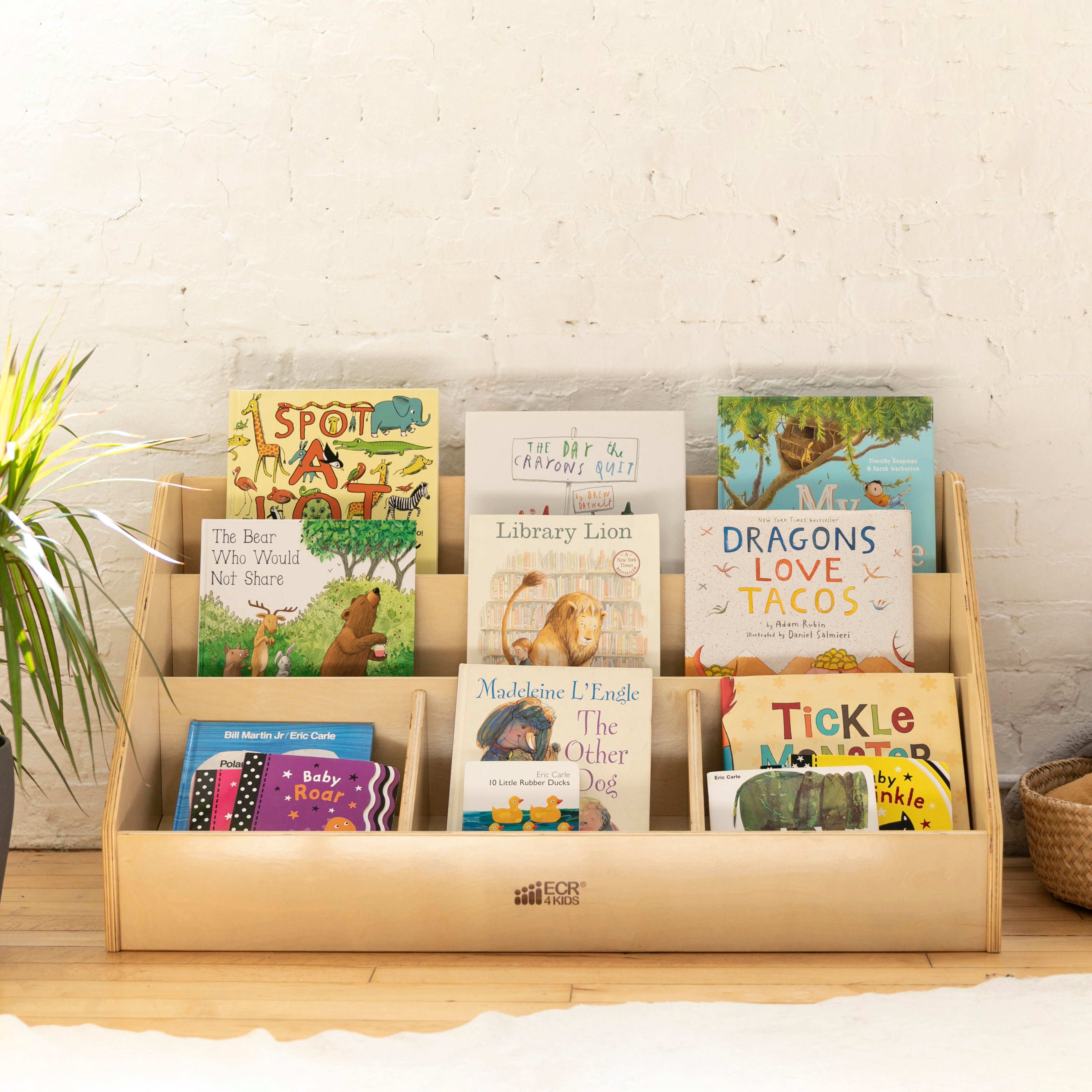 5-Compartment Easy to Reach Book Display