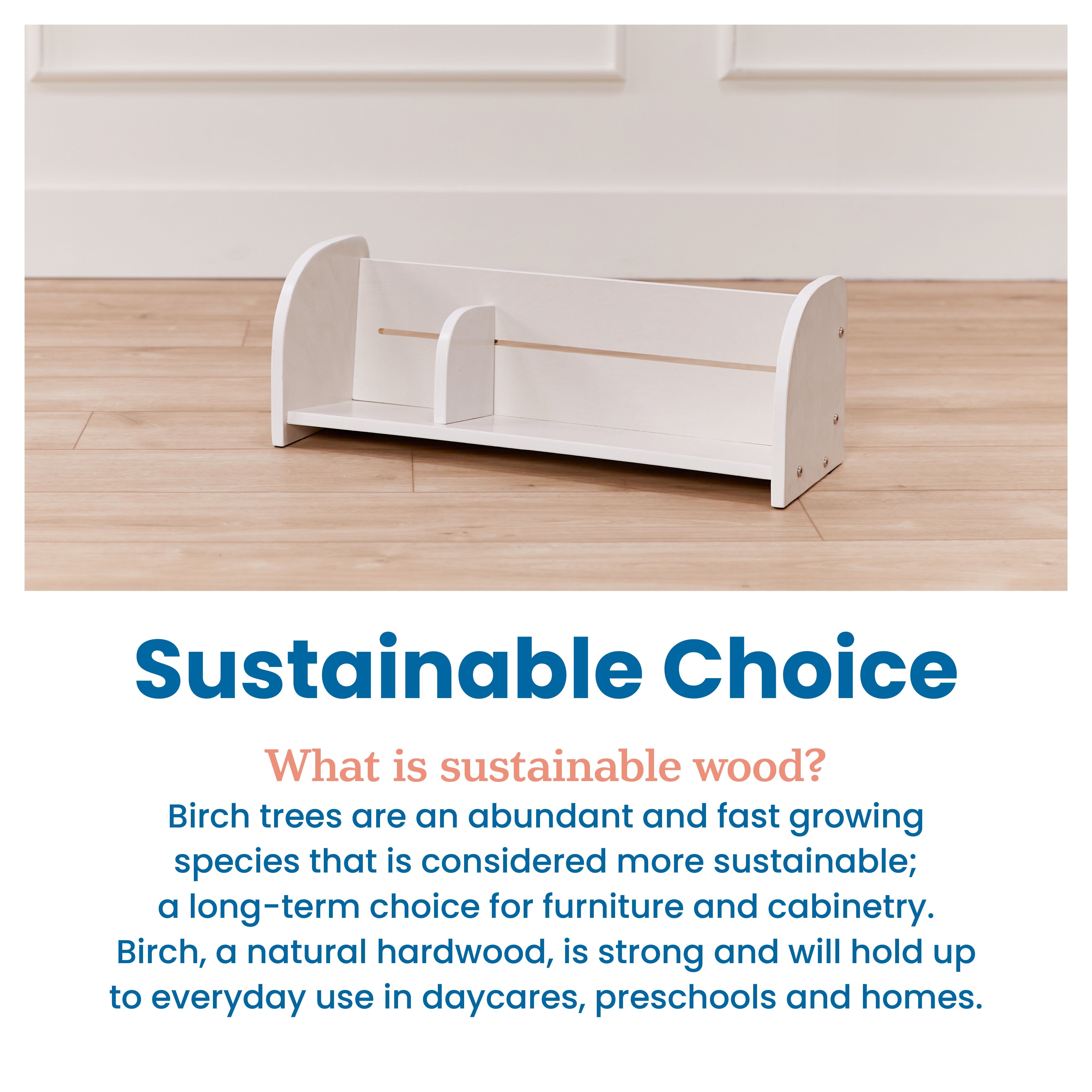 Tabletop Book Display, Adjustable