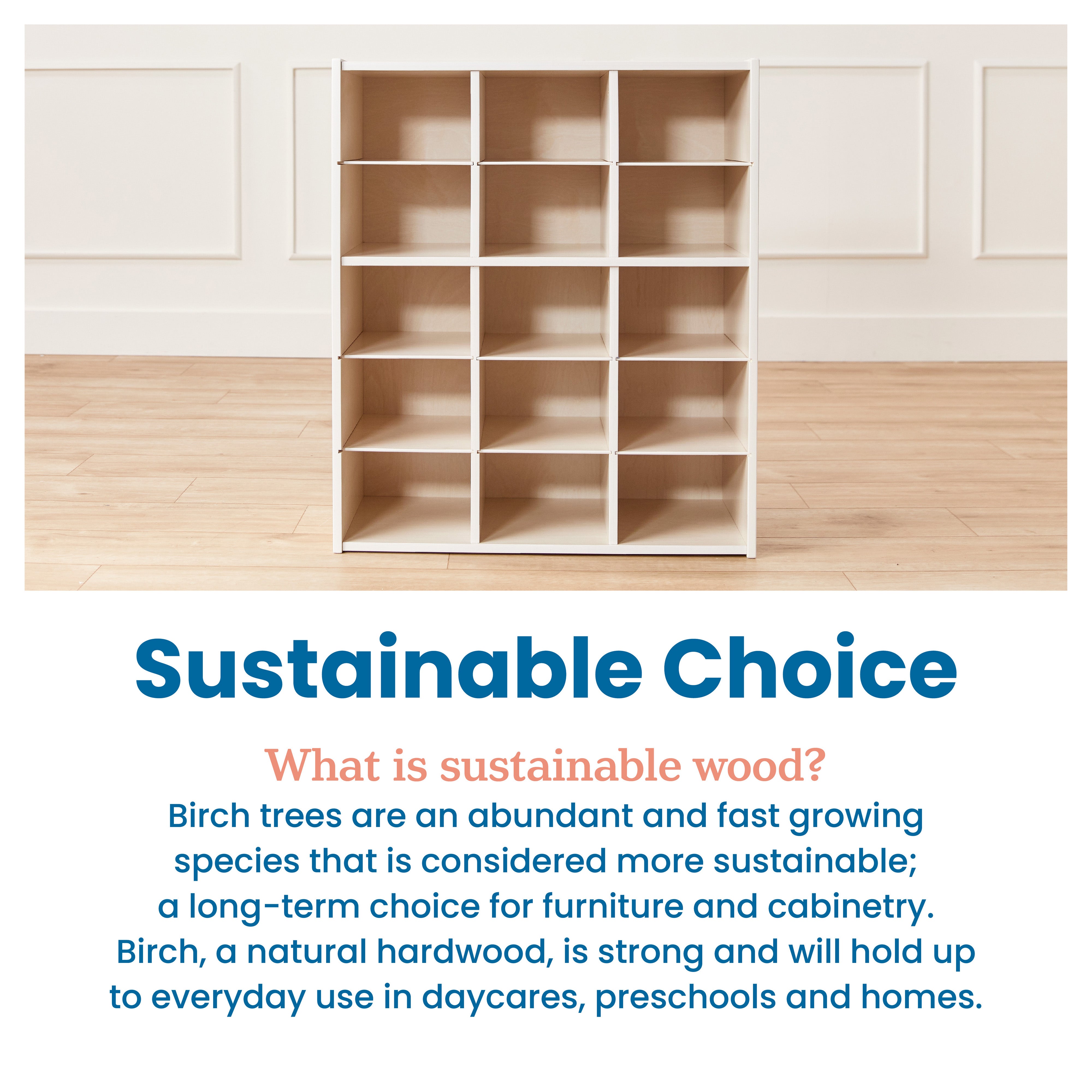 Streamline 15 Cubby Tray Storage Cabinet, 5x3