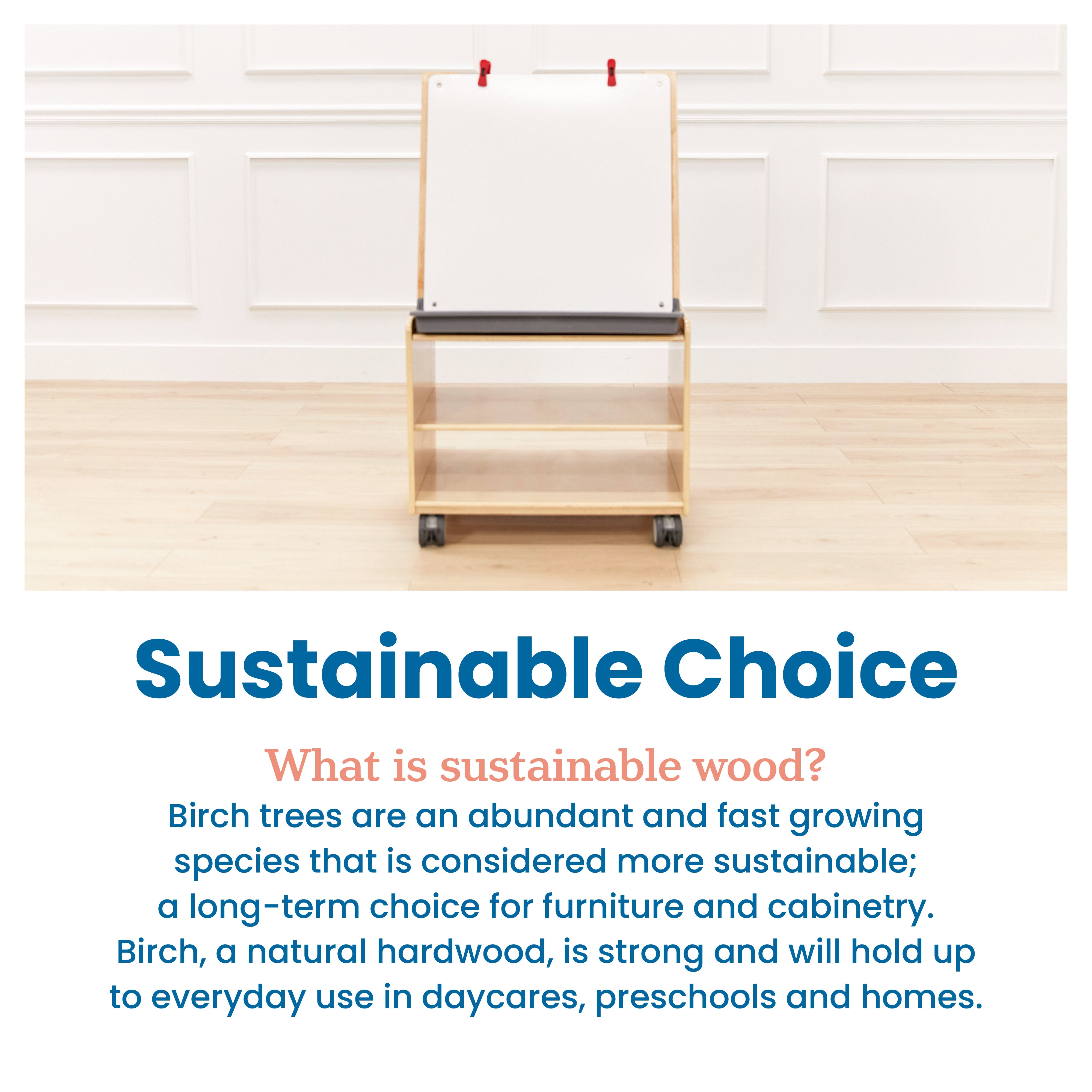 Mobile Art Easel with Storage and Clips