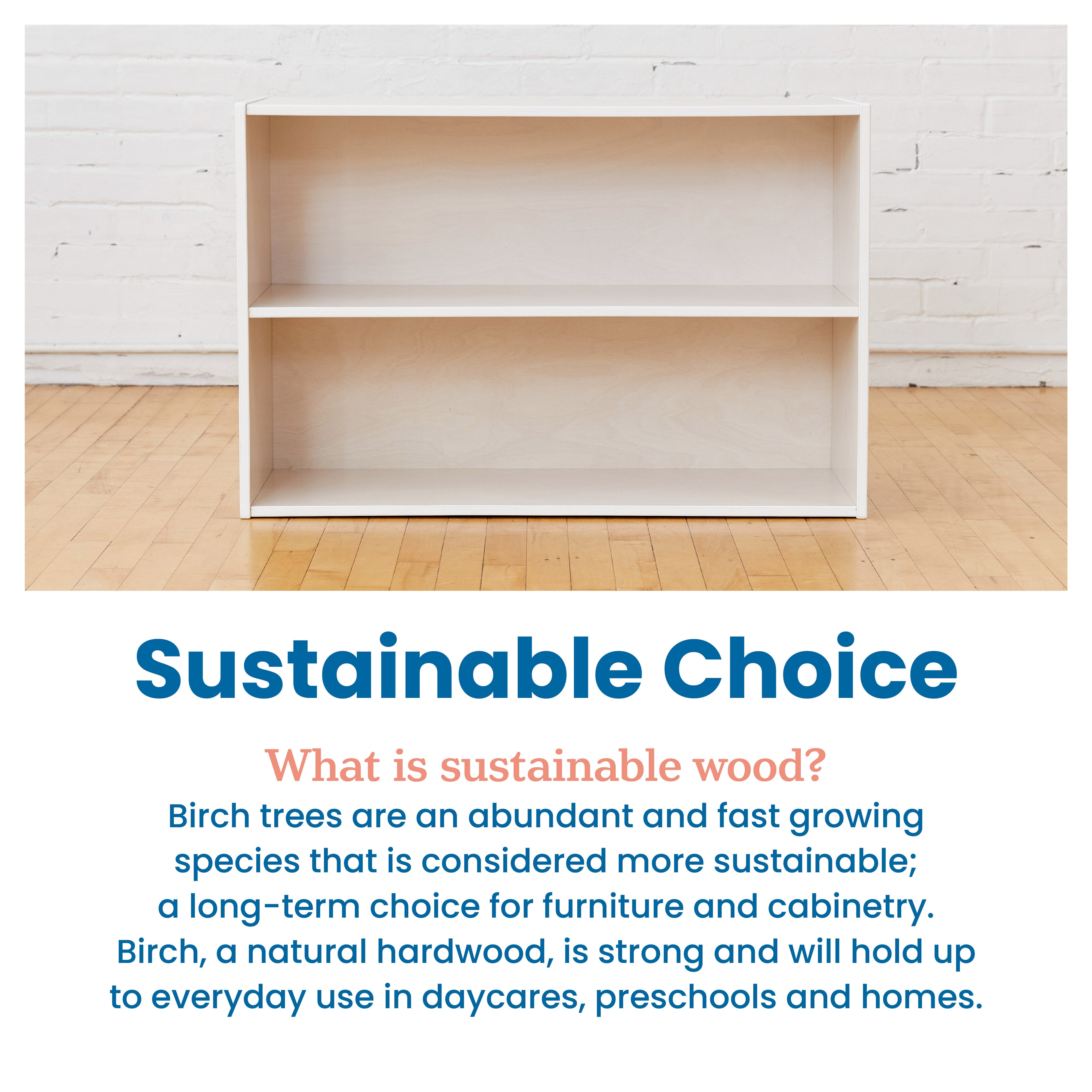 Streamline 2-Shelf Storage Cabinet, 24in