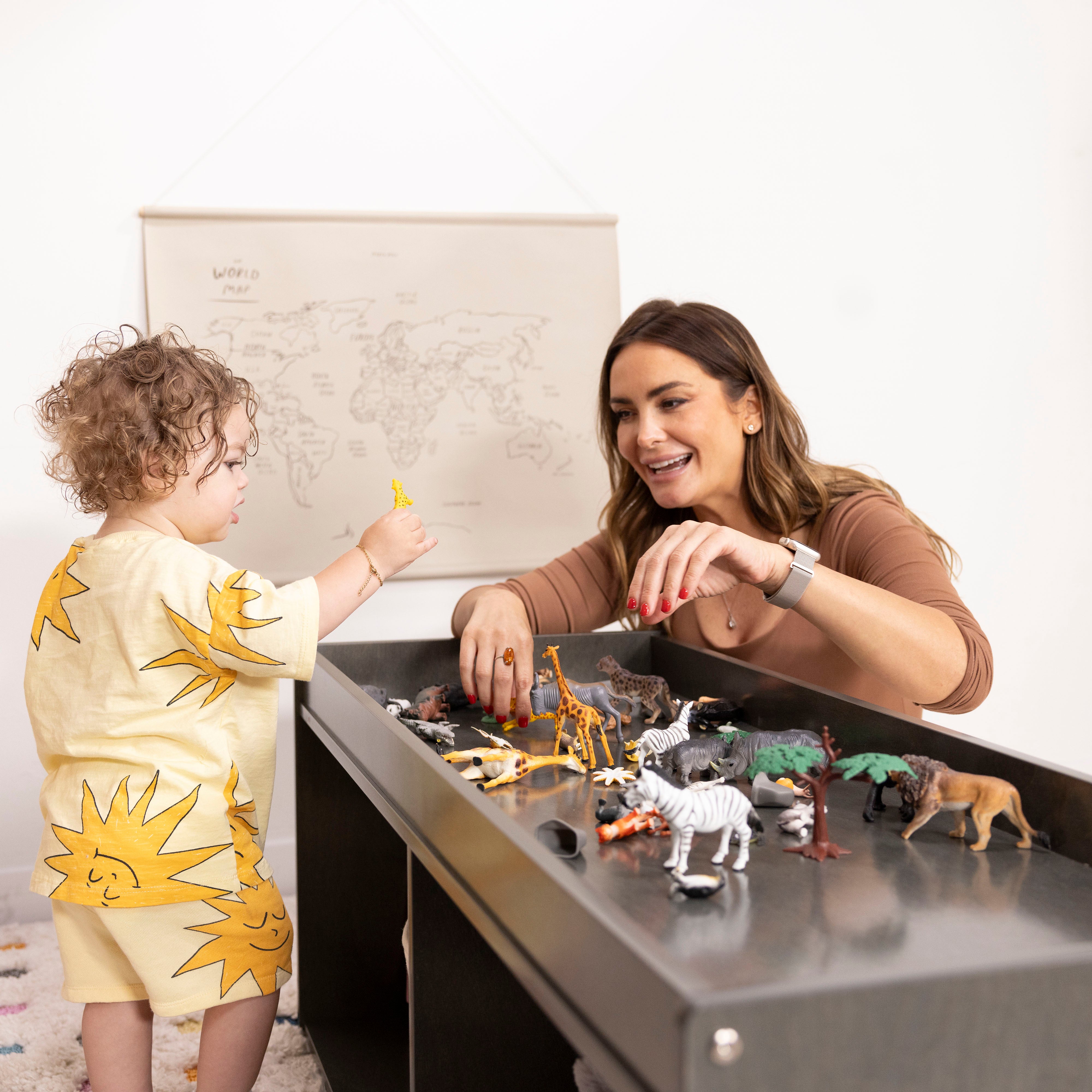 Storage Cabinet with Activity Top and Mirror