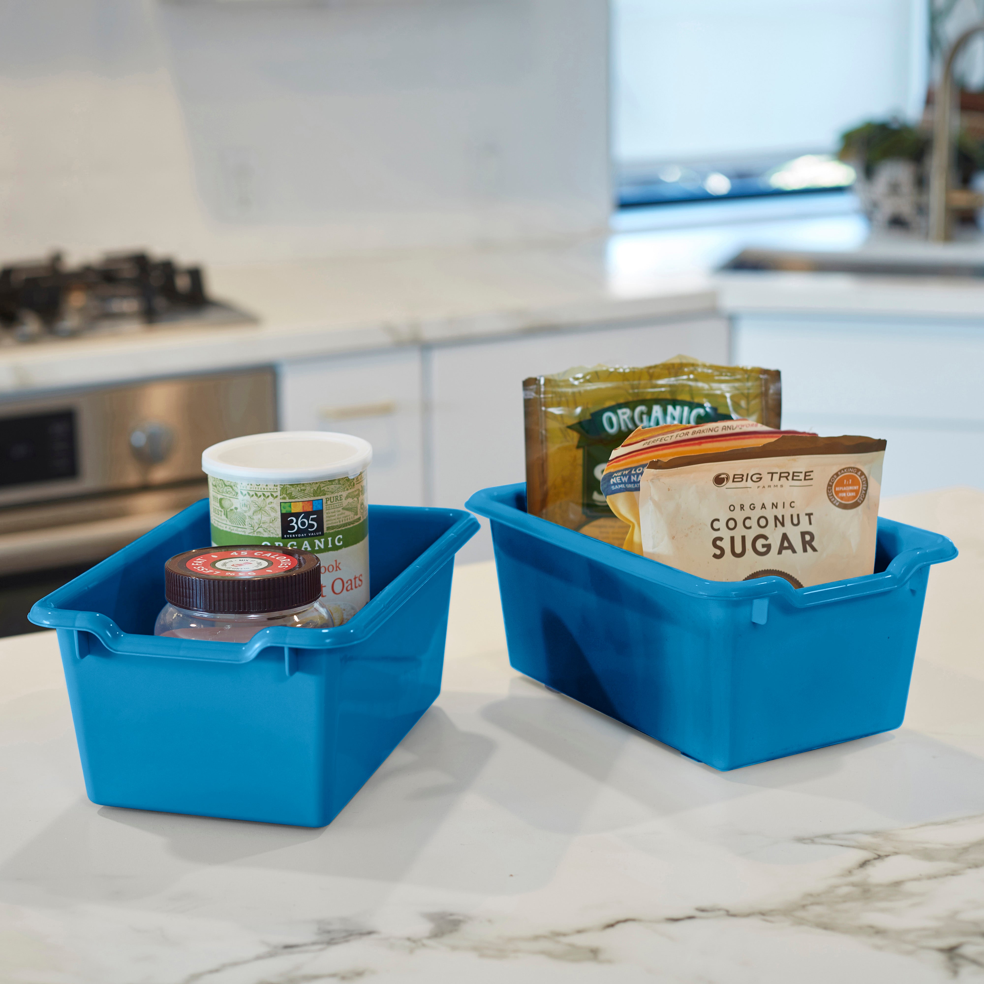 Scoop Front Storage Bins, Multipurpose Organization, 10-Pack