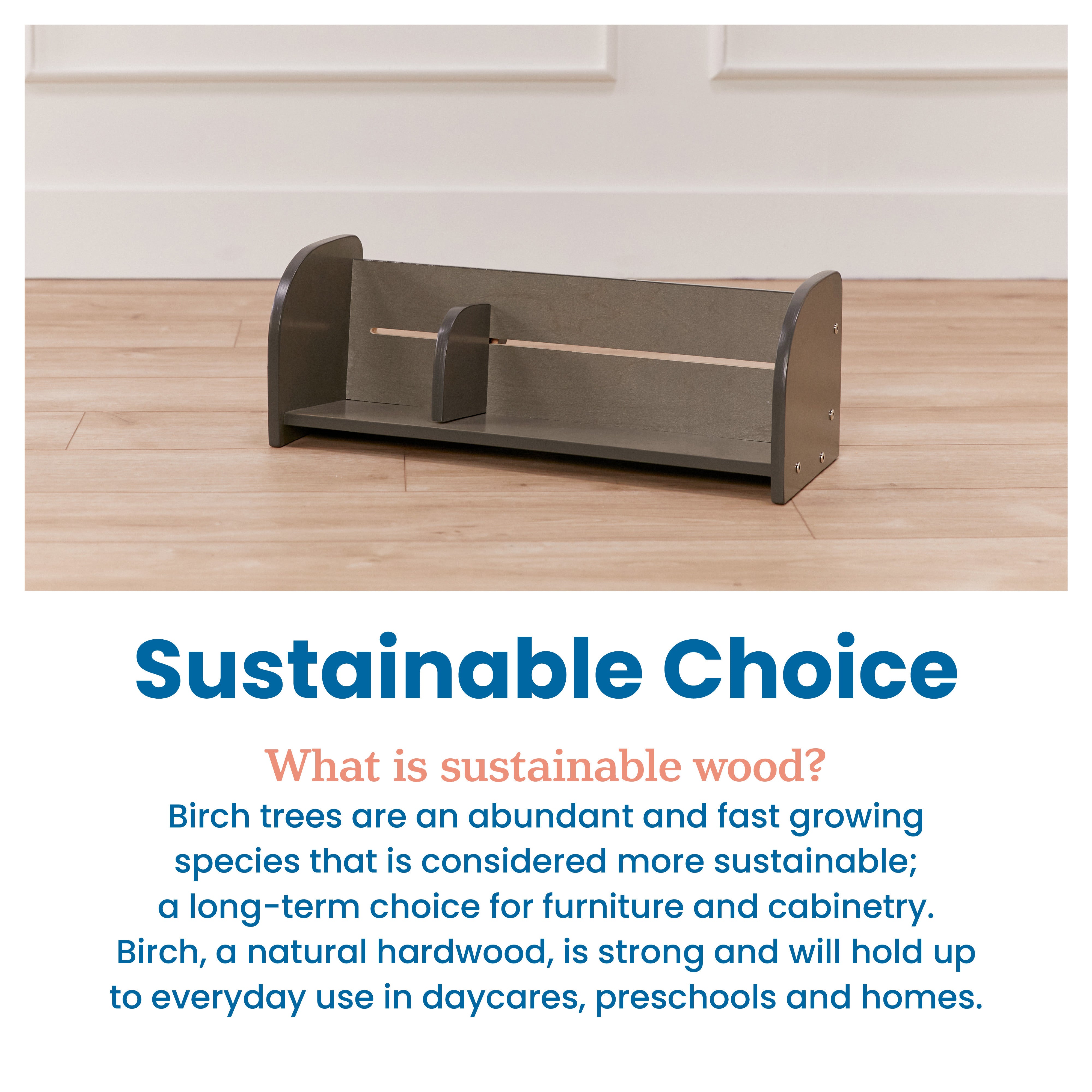 Tabletop Book Display, Adjustable