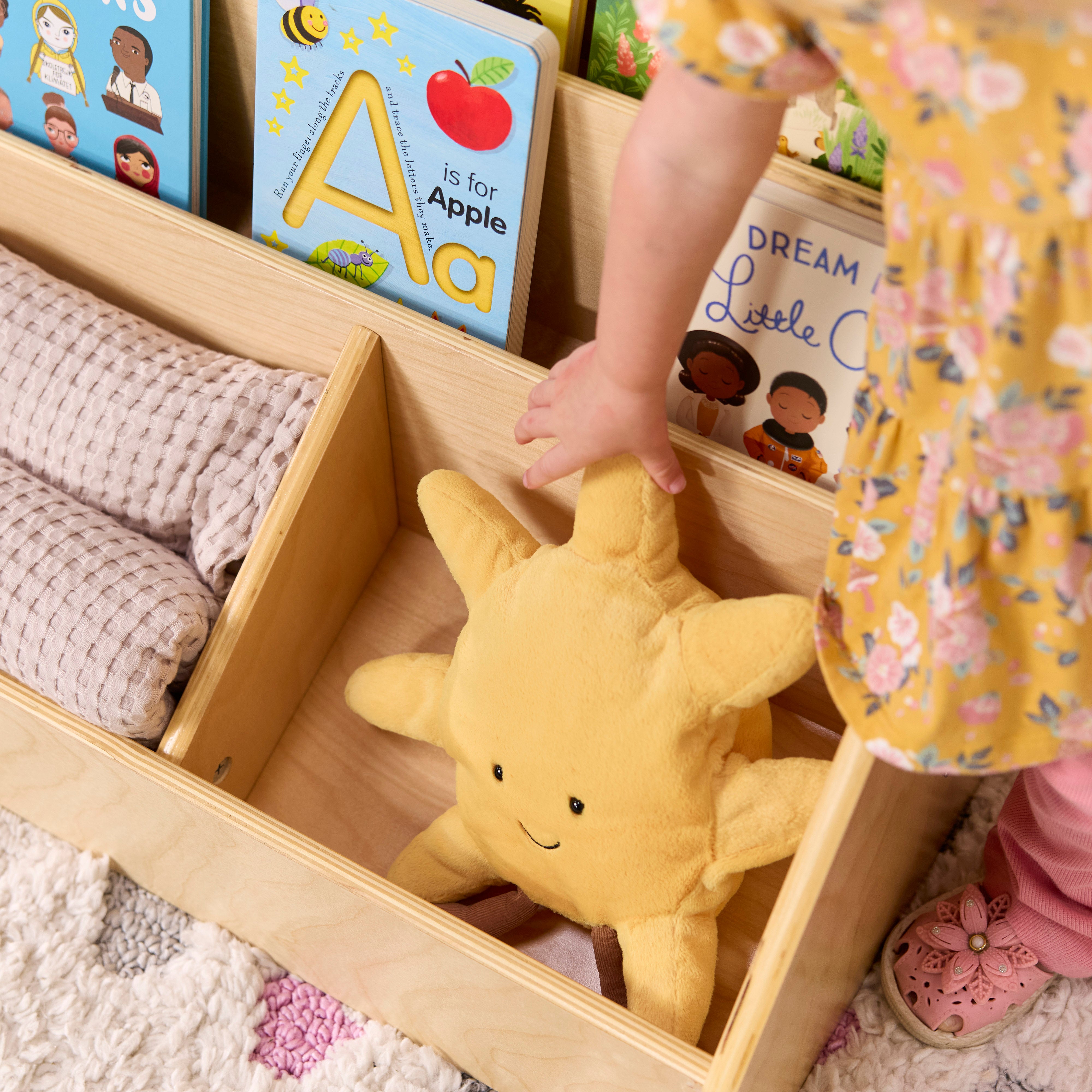 5-Compartment Easy to Reach Book Display