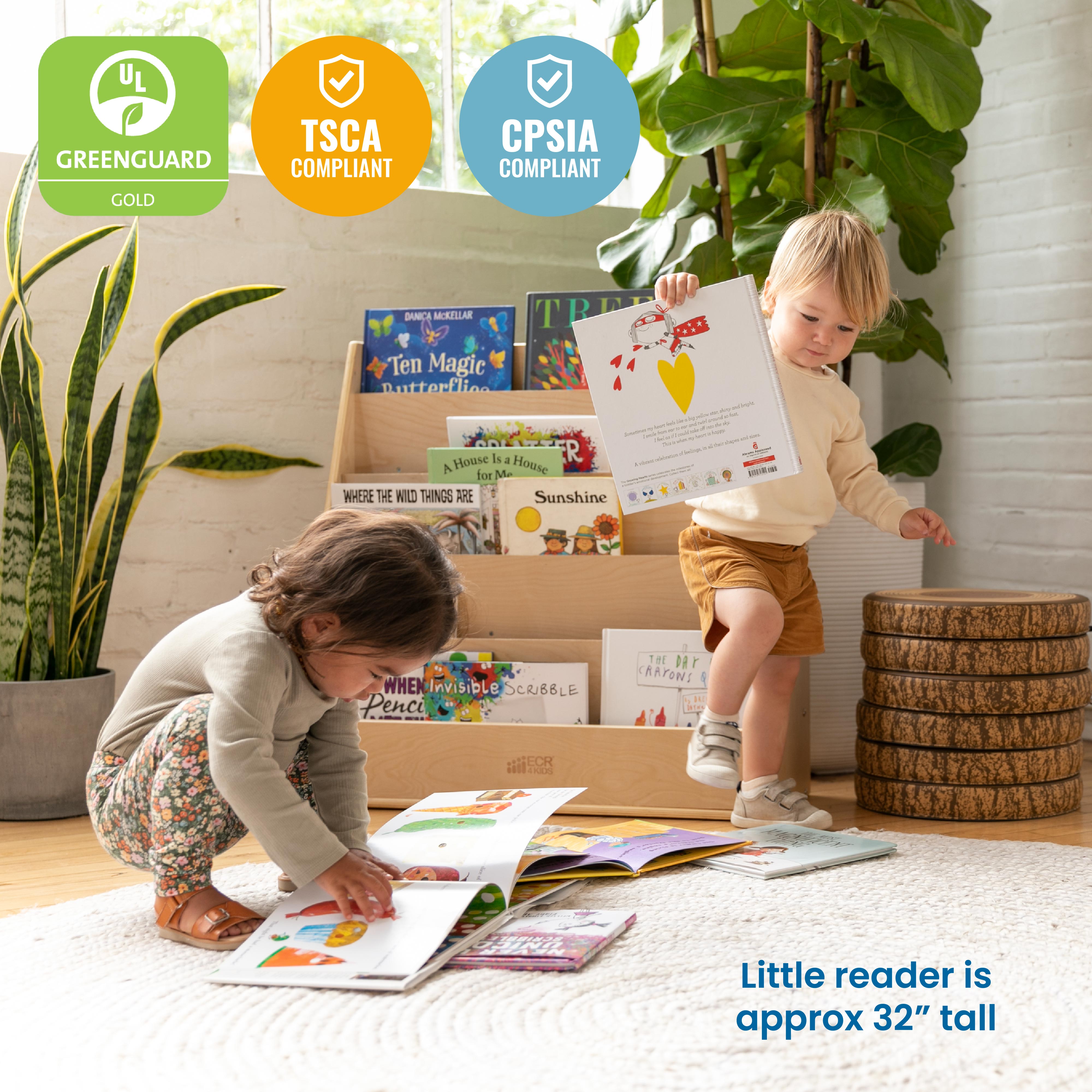 Streamline Single-Sided Book Display with Storage