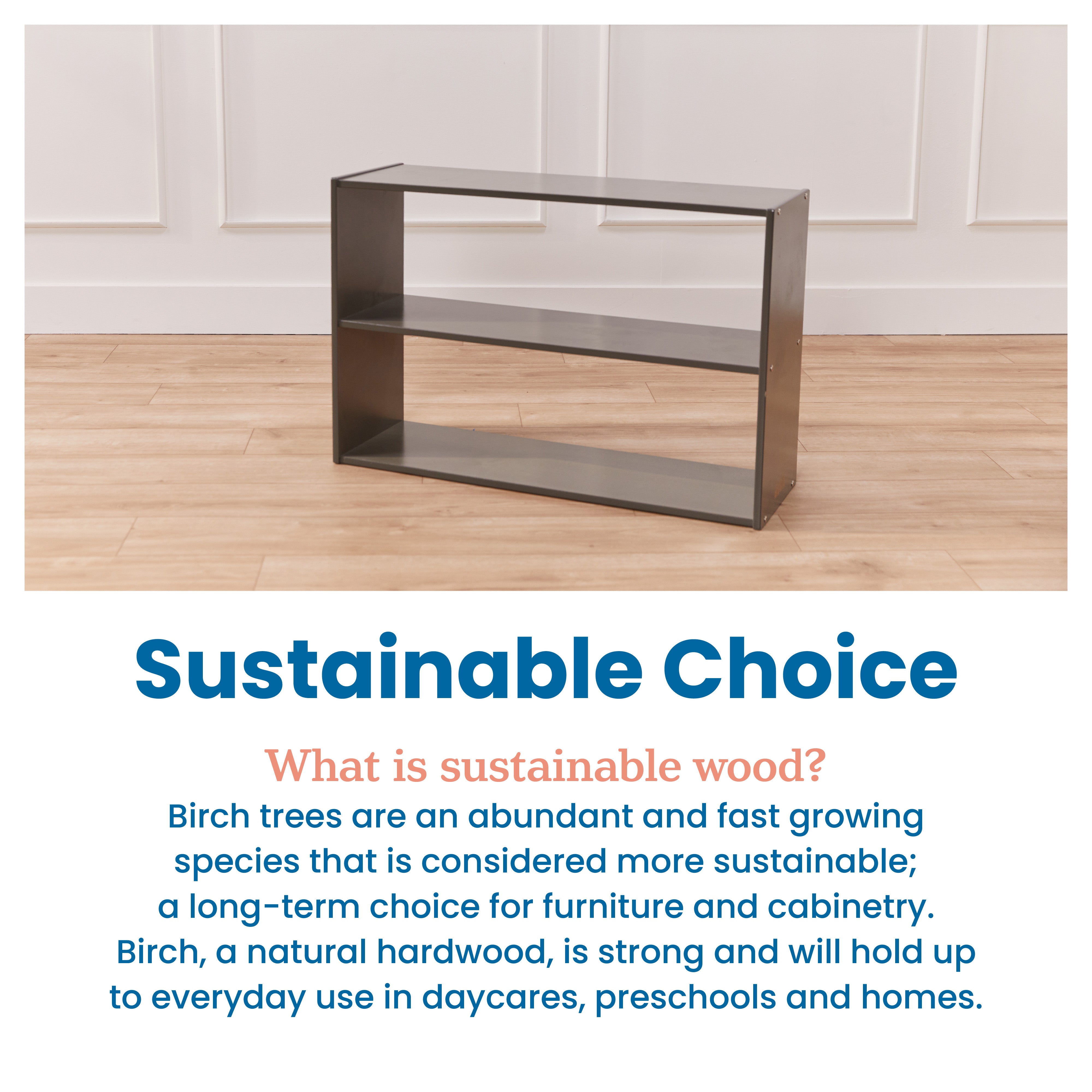 Streamline 2-Shelf Storage Cabinet, 24in High