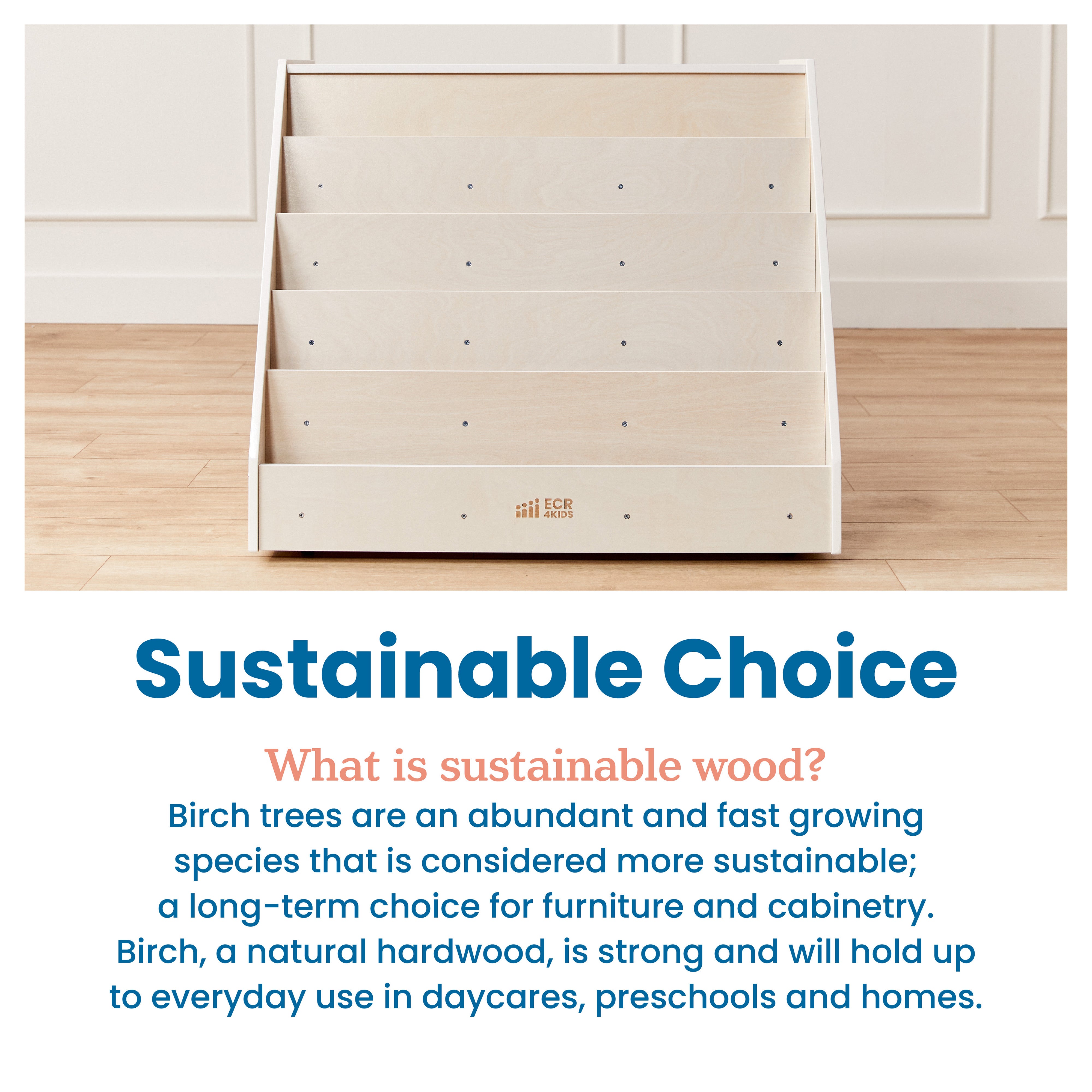 Double-Sided Mobile Book Display with Storage