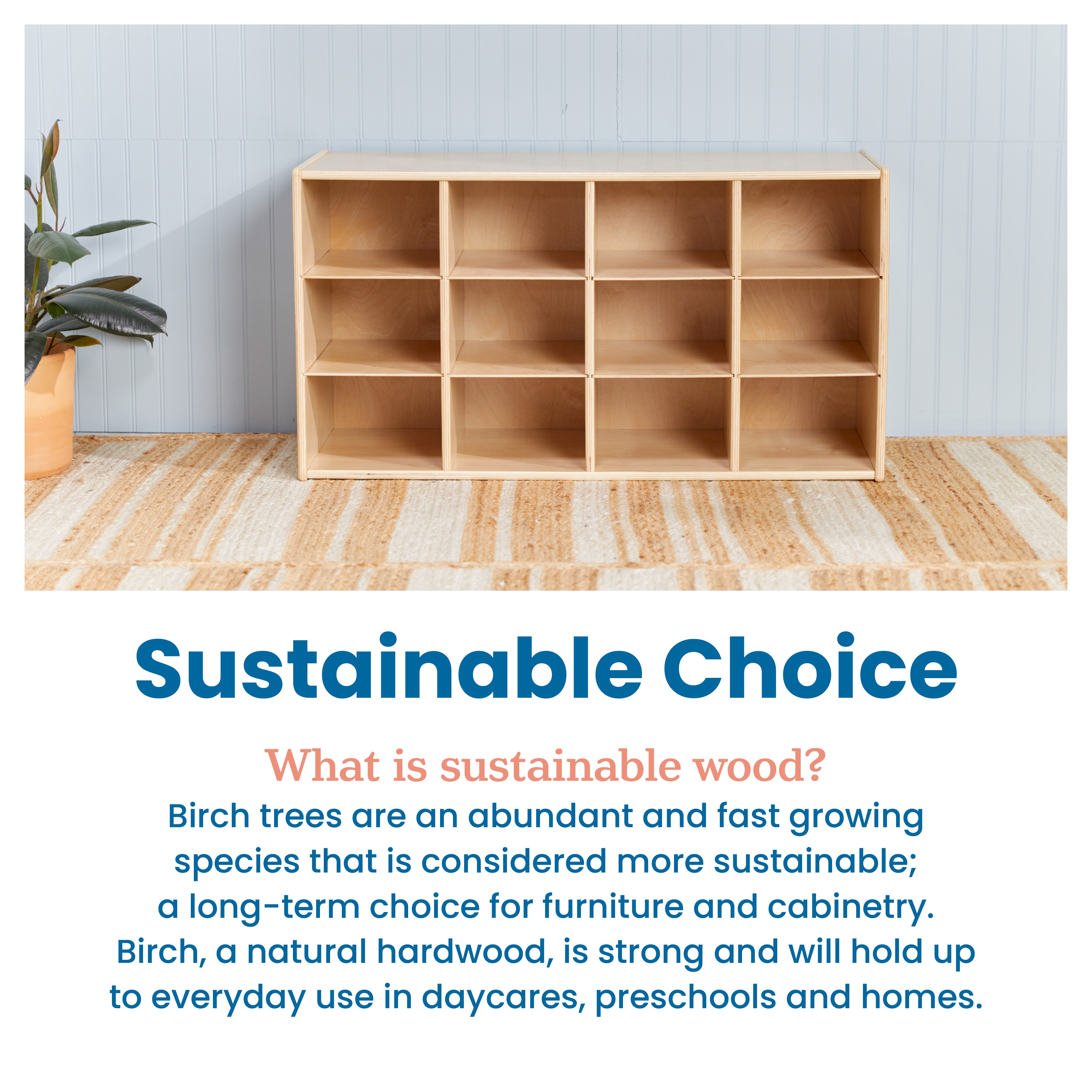 Streamline 12 Cubby Tray Storage Cabinet, 3x4